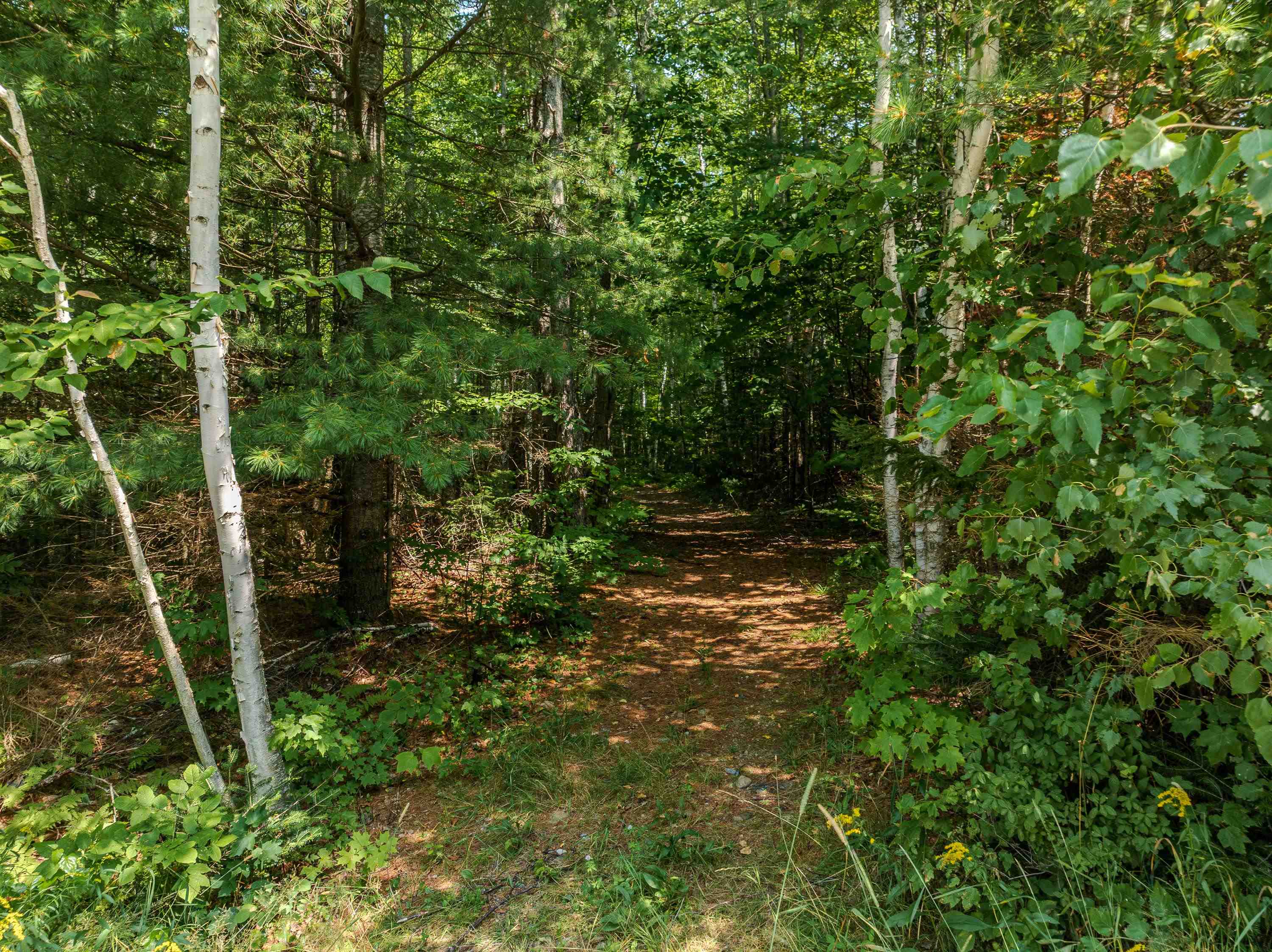 0 Osgood Farm Road Property Photo 4