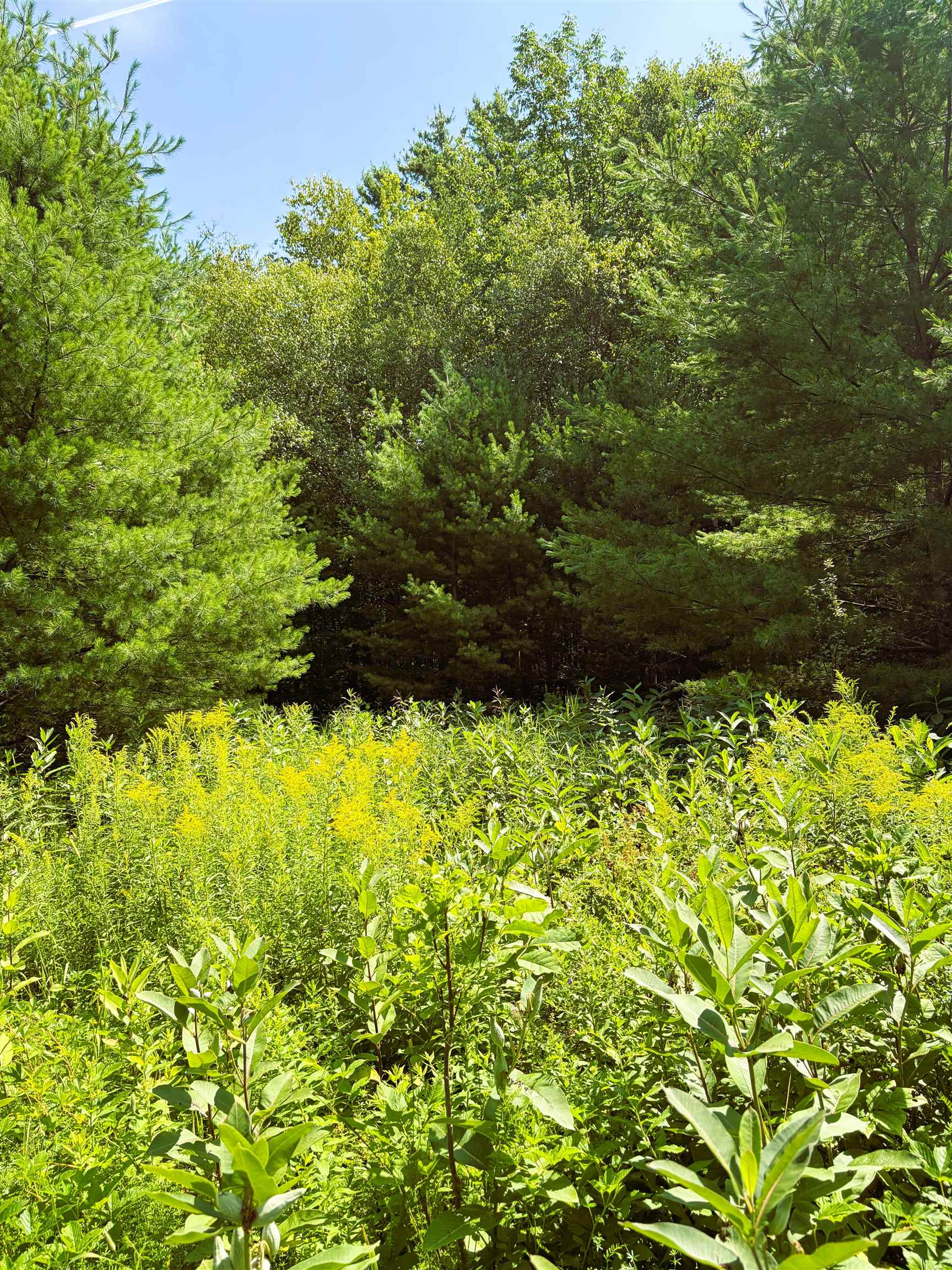 0 Osgood Farm Road Property Photo 11
