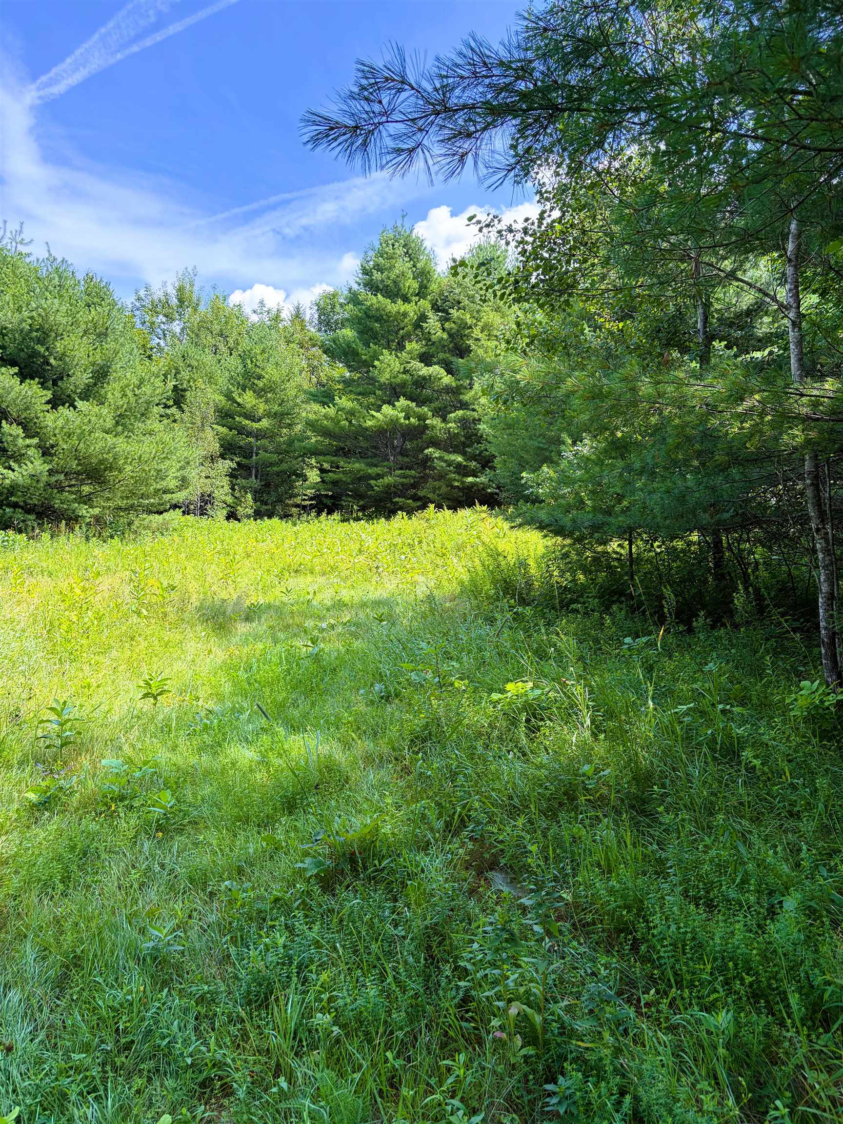 0 Osgood Farm Road Property Photo 12