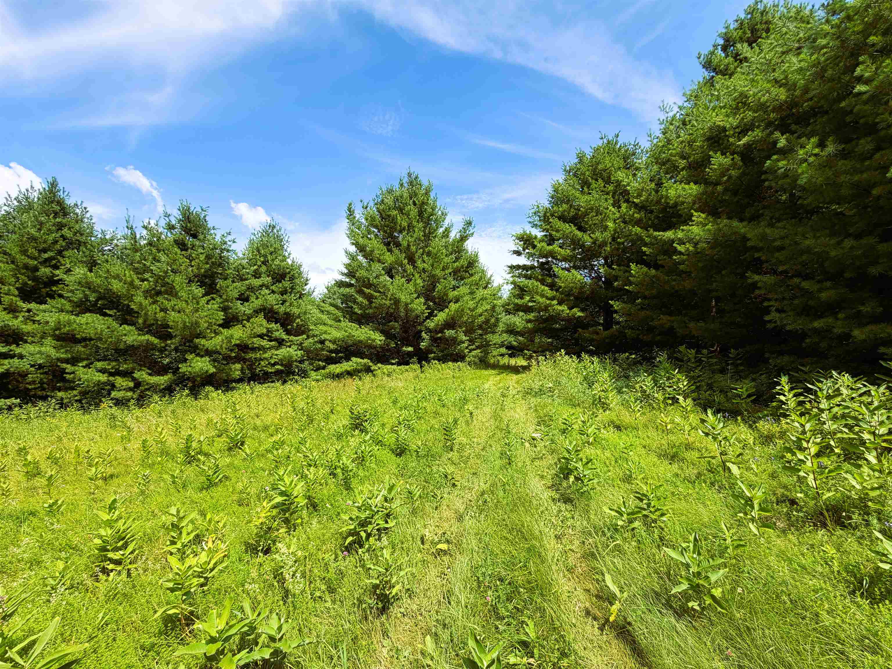 0 Osgood Farm Road Property Photo 14