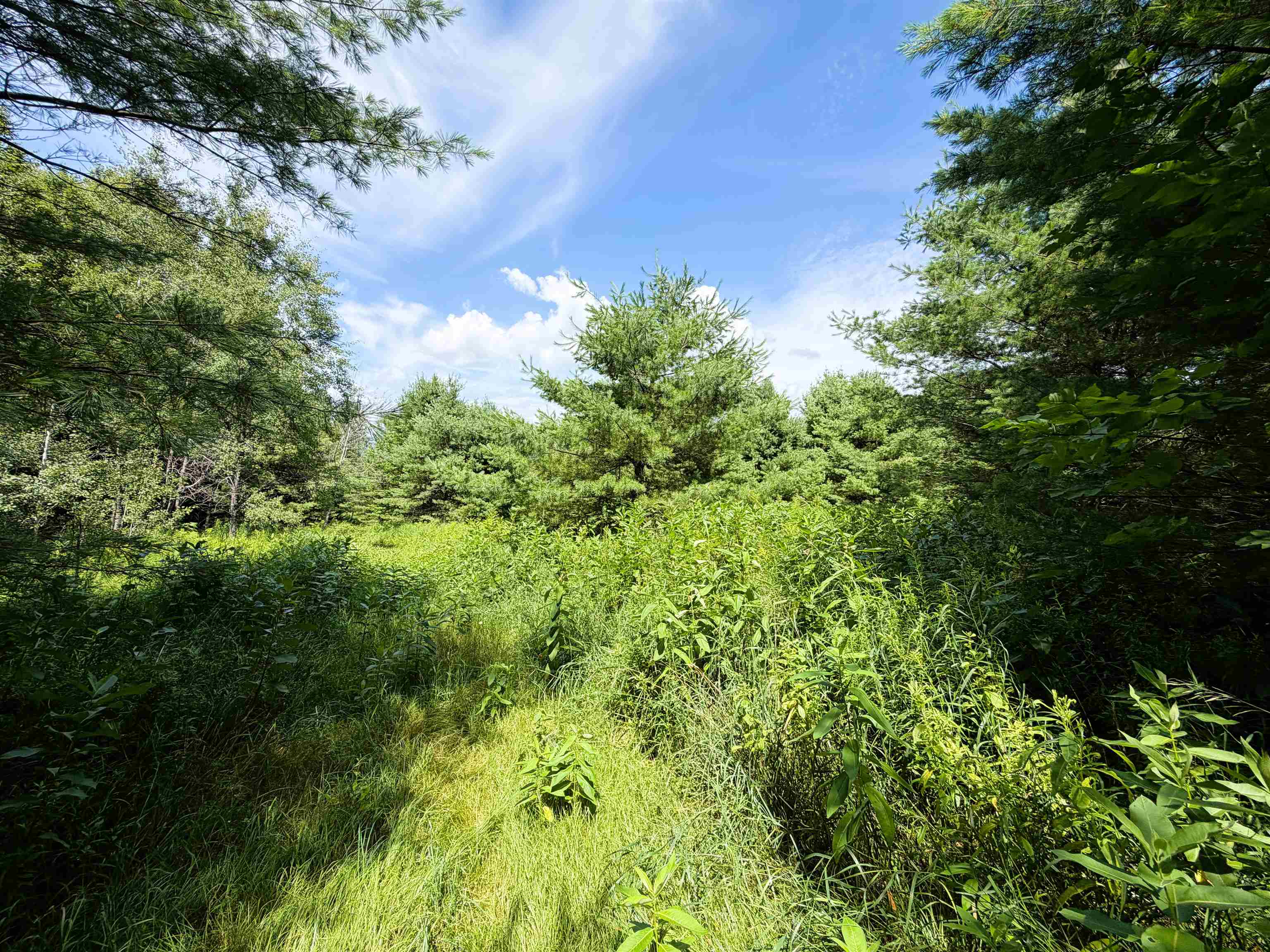 0 Osgood Farm Road Property Photo 15