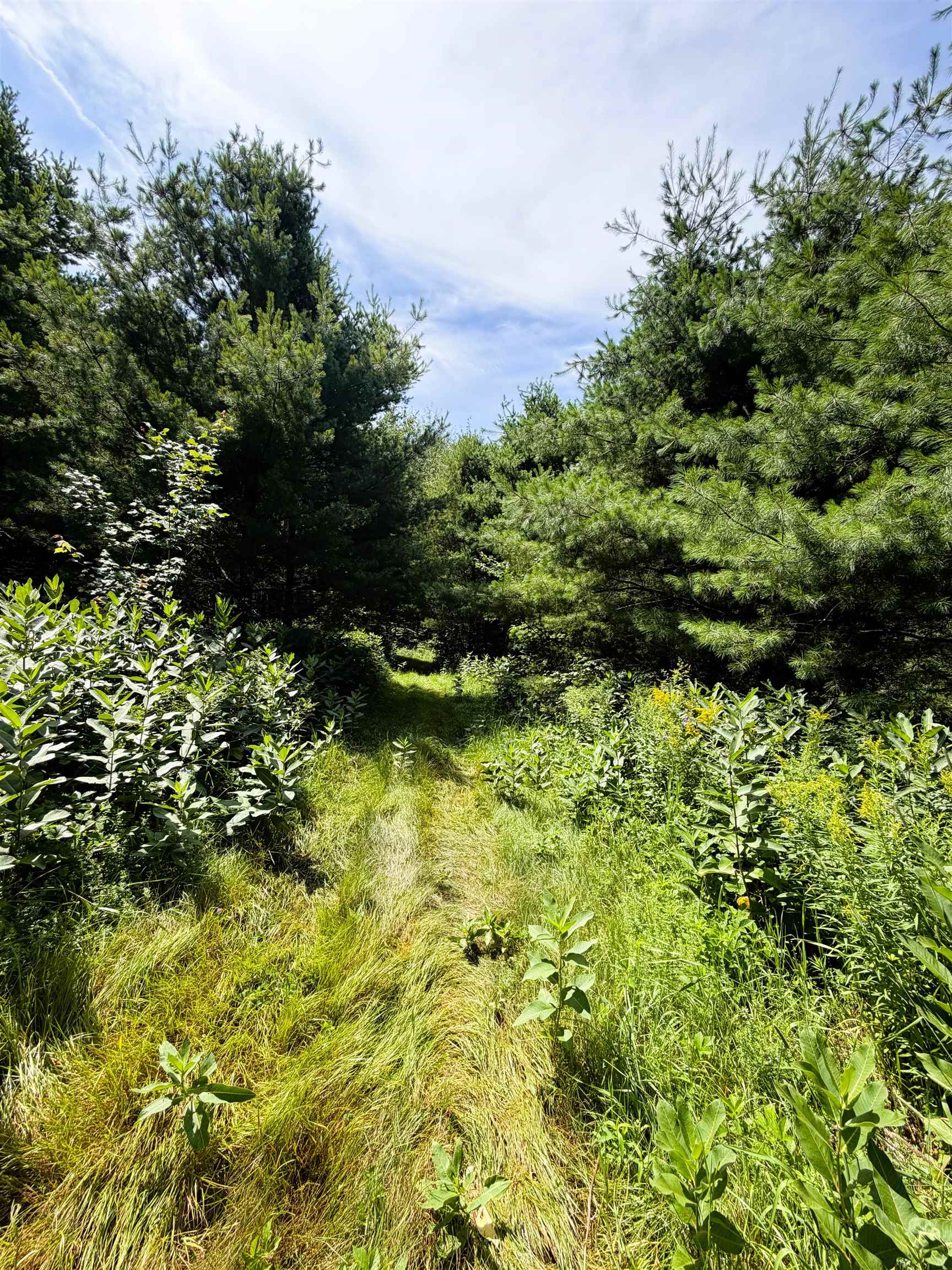 0 Osgood Farm Road Property Photo 17