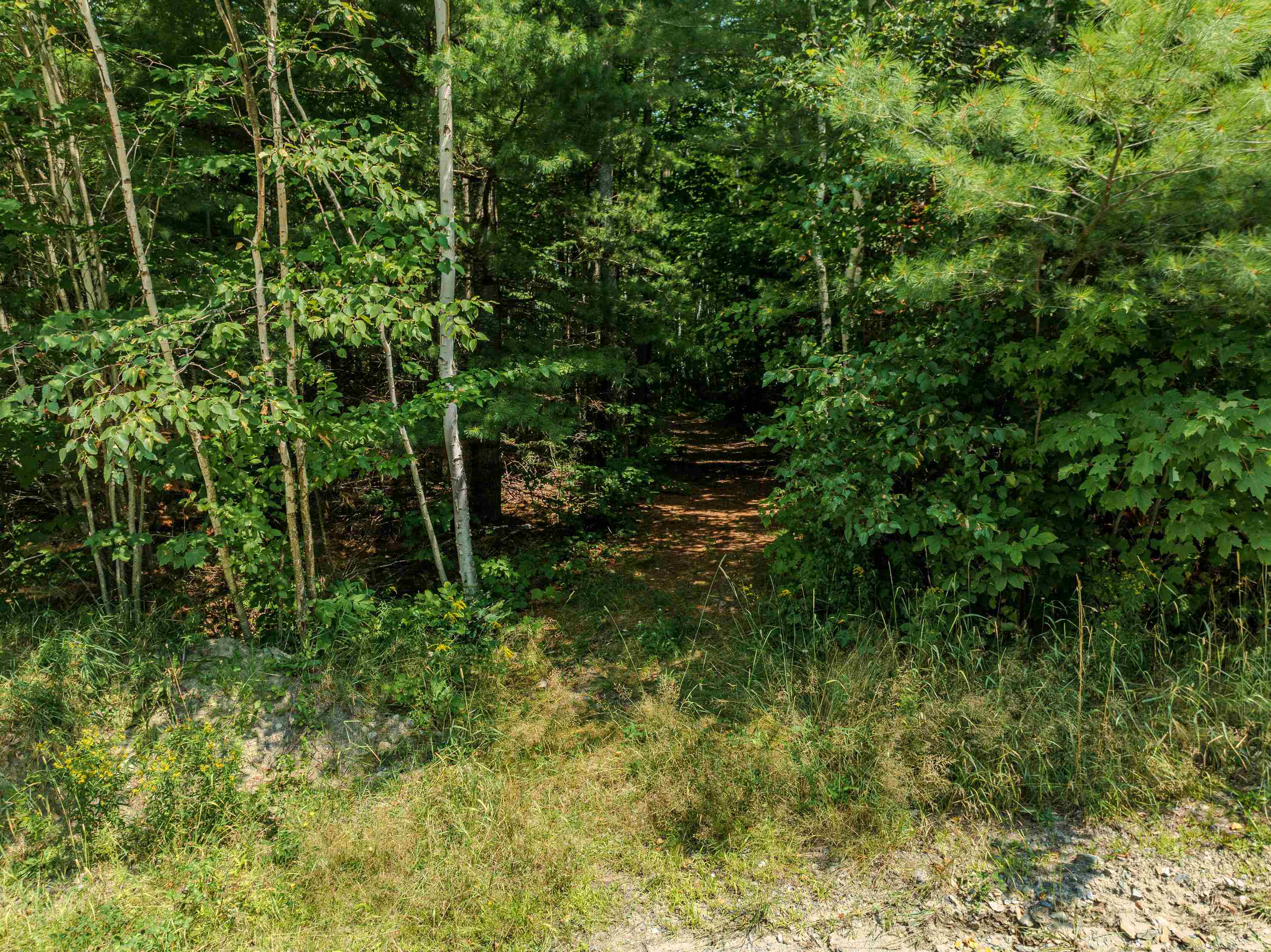 0 Osgood Farm Road Property Photo 19