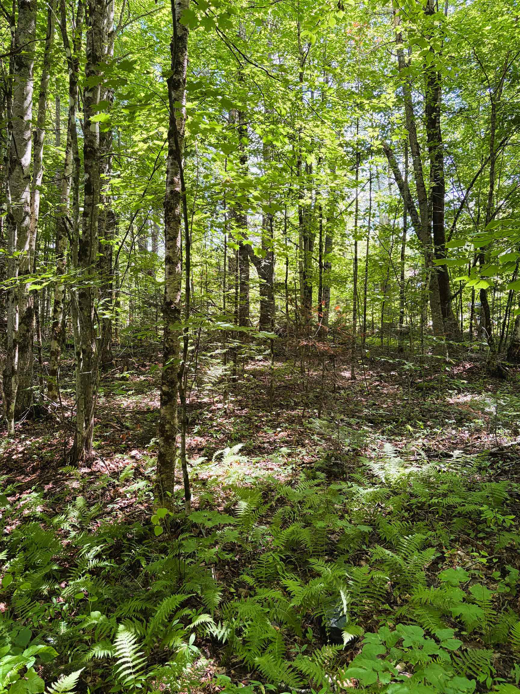 0 Osgood Farm Road Property Photo 22