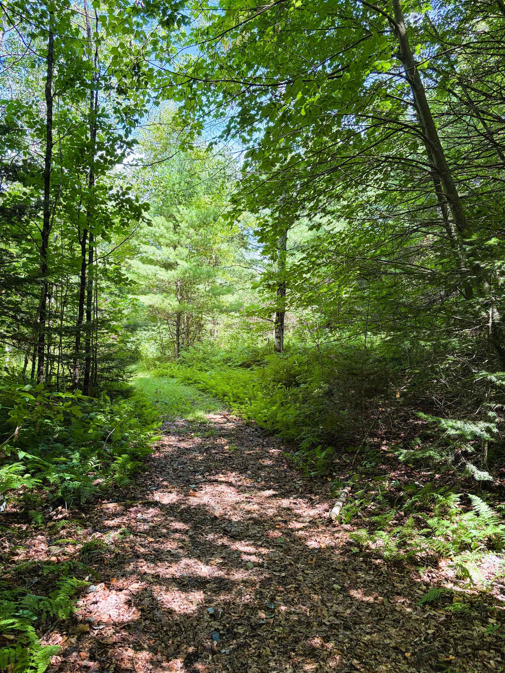 0 Osgood Farm Road Property Photo 23