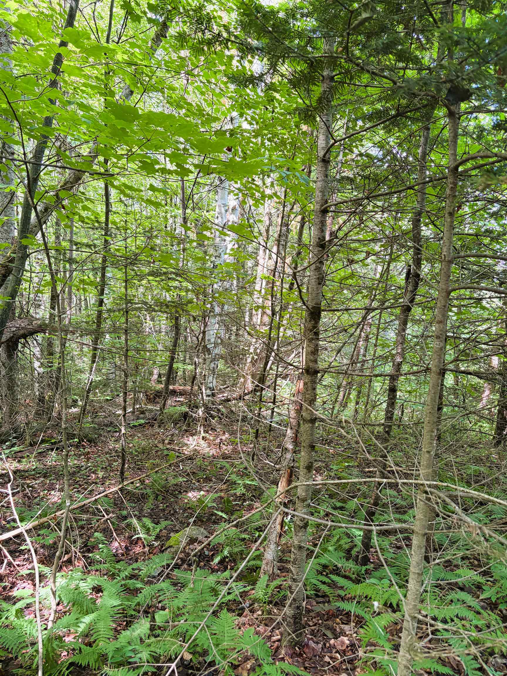 0 Osgood Farm Road Property Photo 27