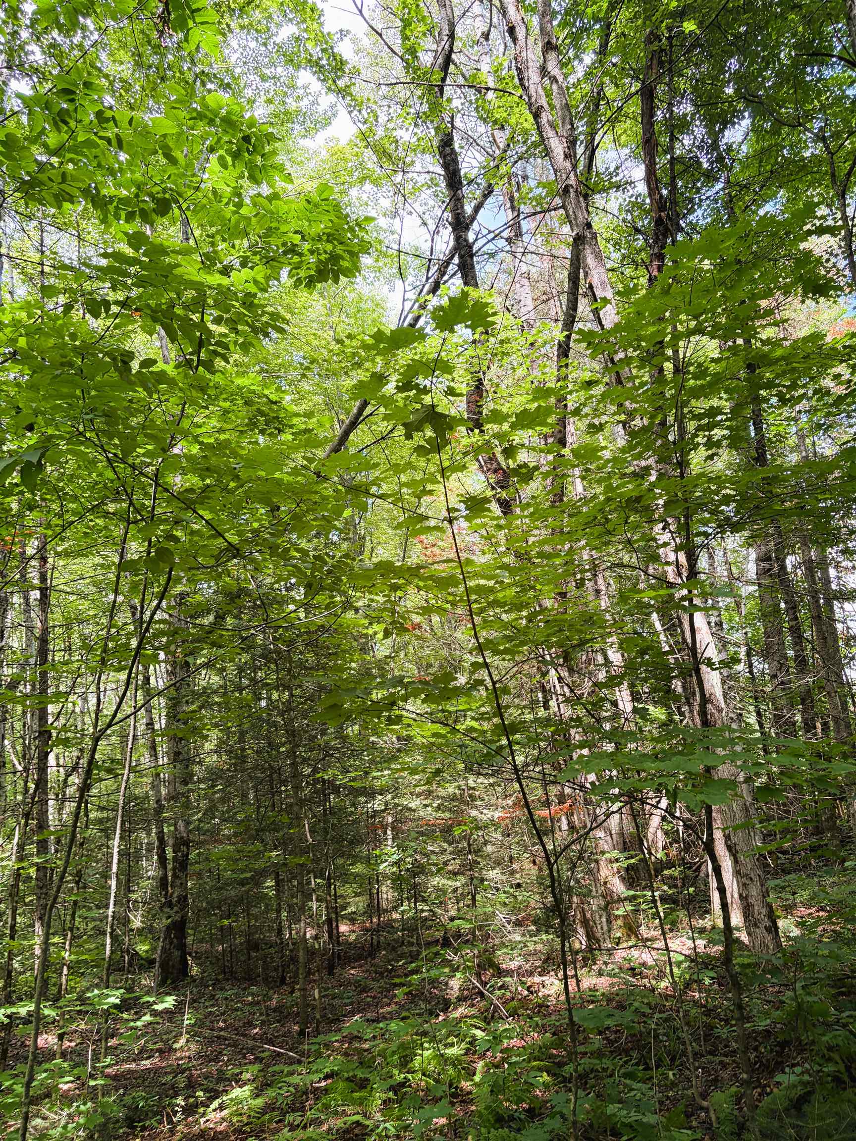 0 Osgood Farm Road Property Photo 31