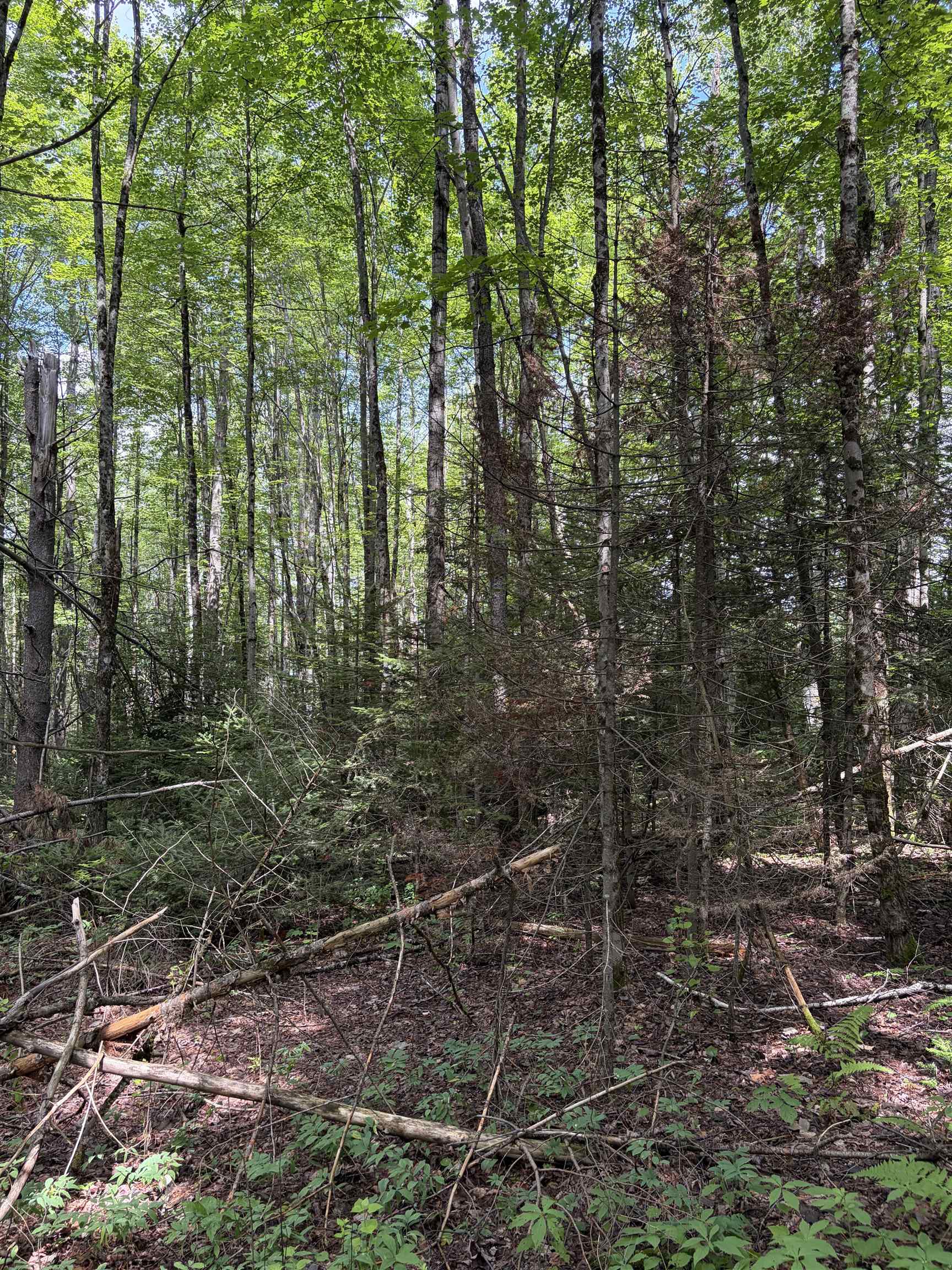 0 Osgood Farm Road Property Photo 33
