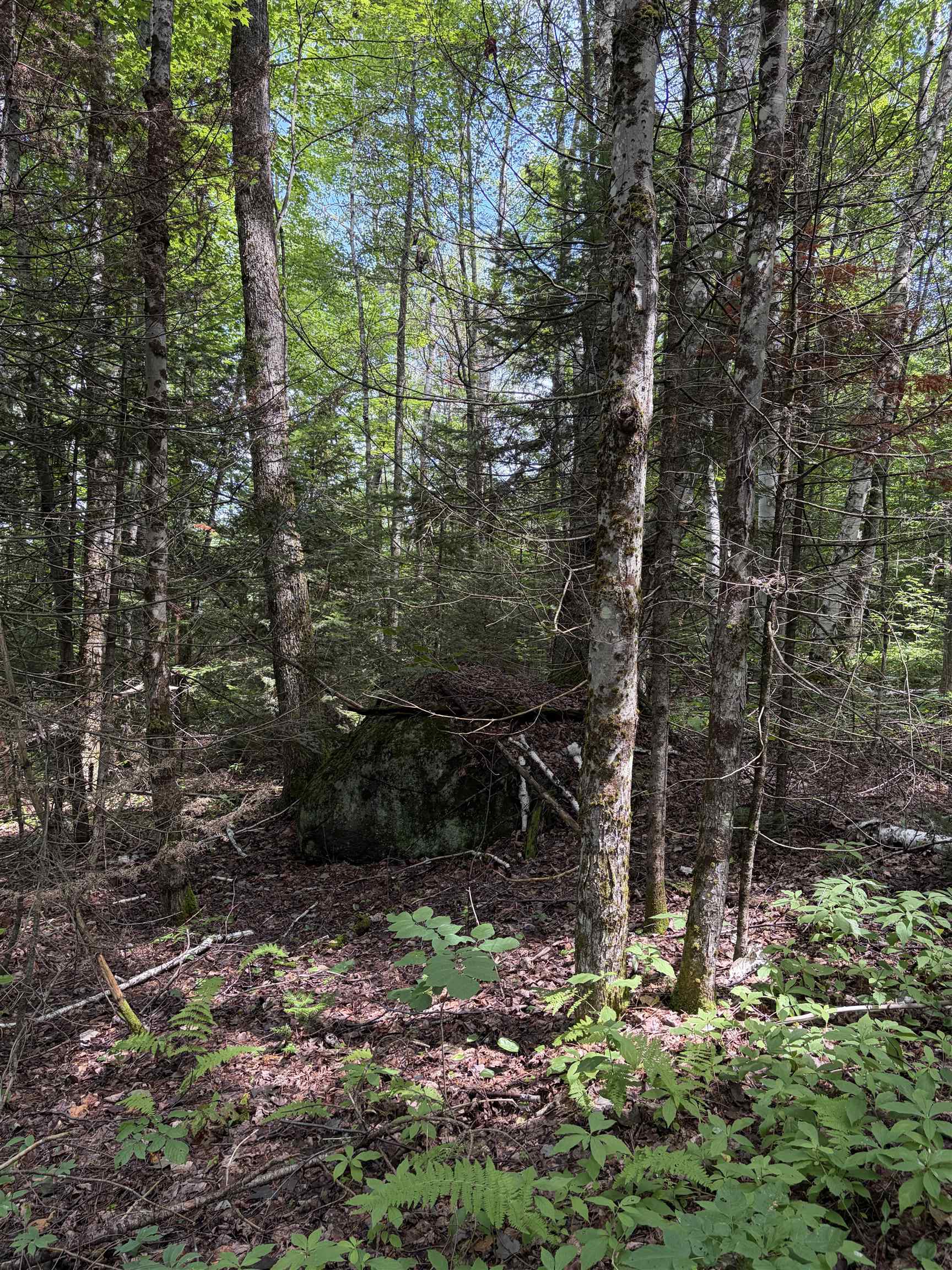0 Osgood Farm Road Property Photo 34