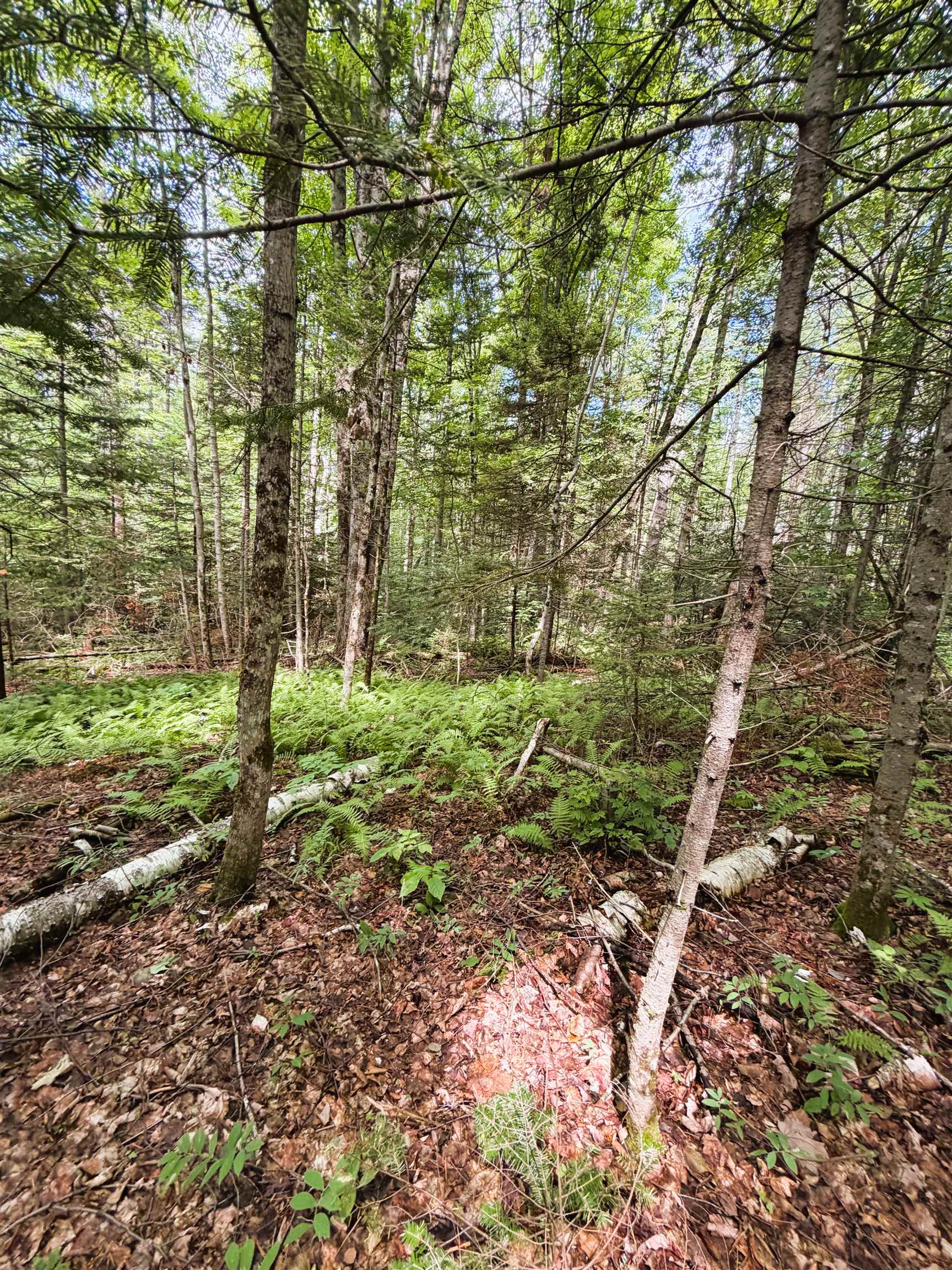 0 Osgood Farm Road Property Photo 40
