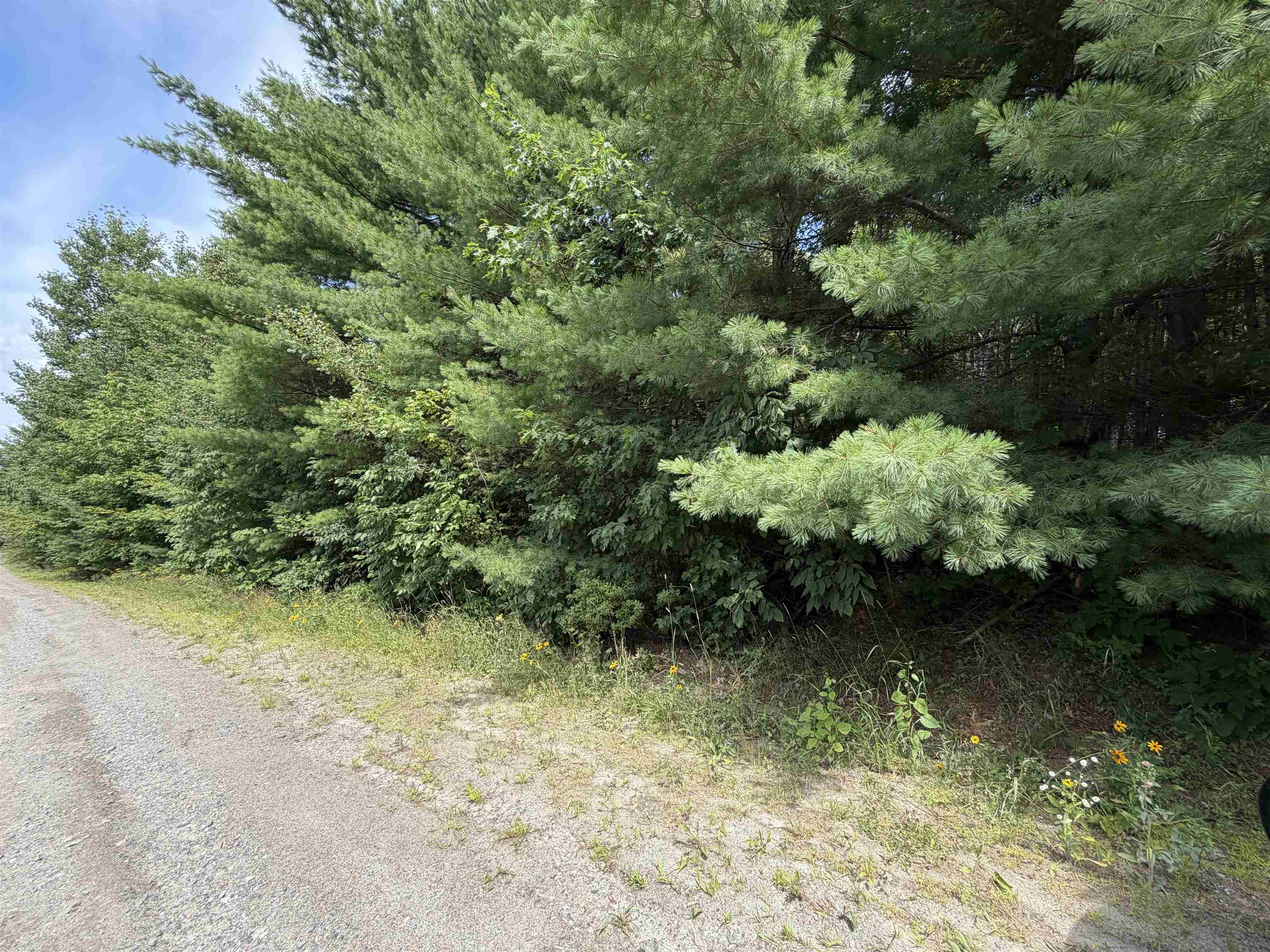 0 Osgood Farm Road Property Photo 44