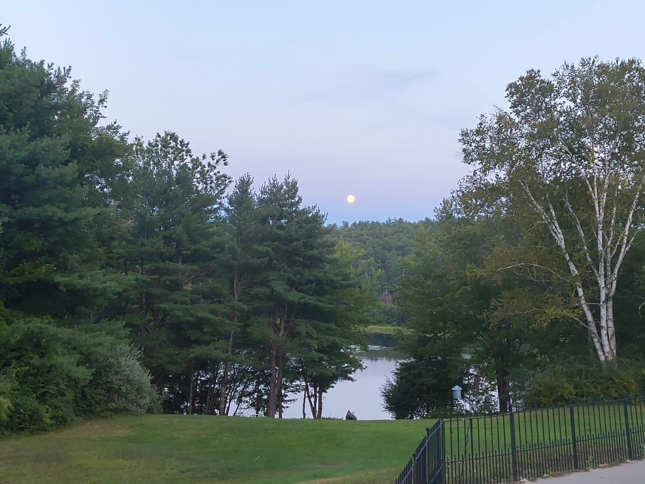 4373 River Road Property Photo 51