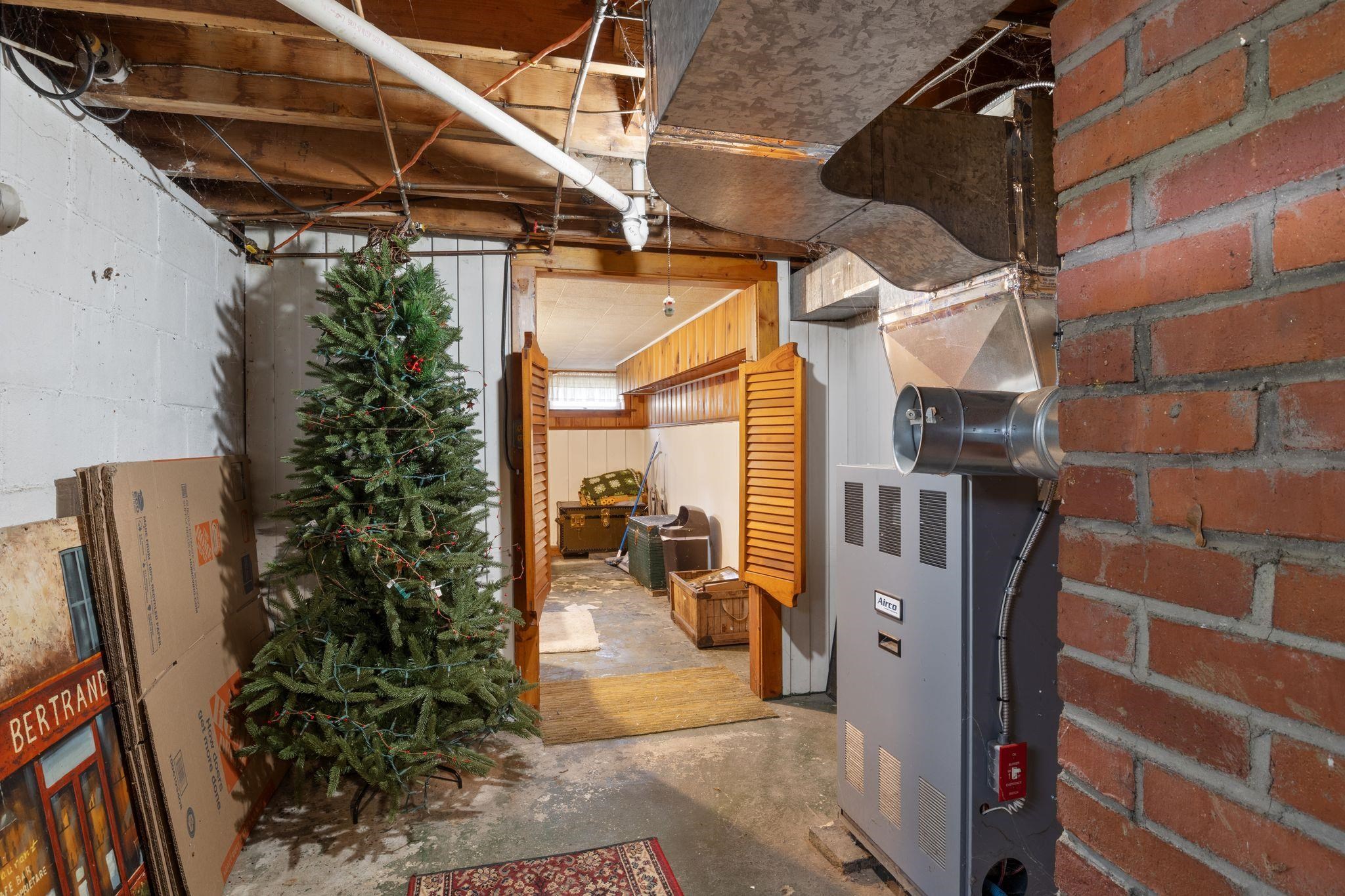 19 Cross Road Property Photo 28