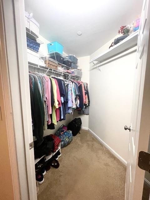 118 Secretariat Way Property Photo 16