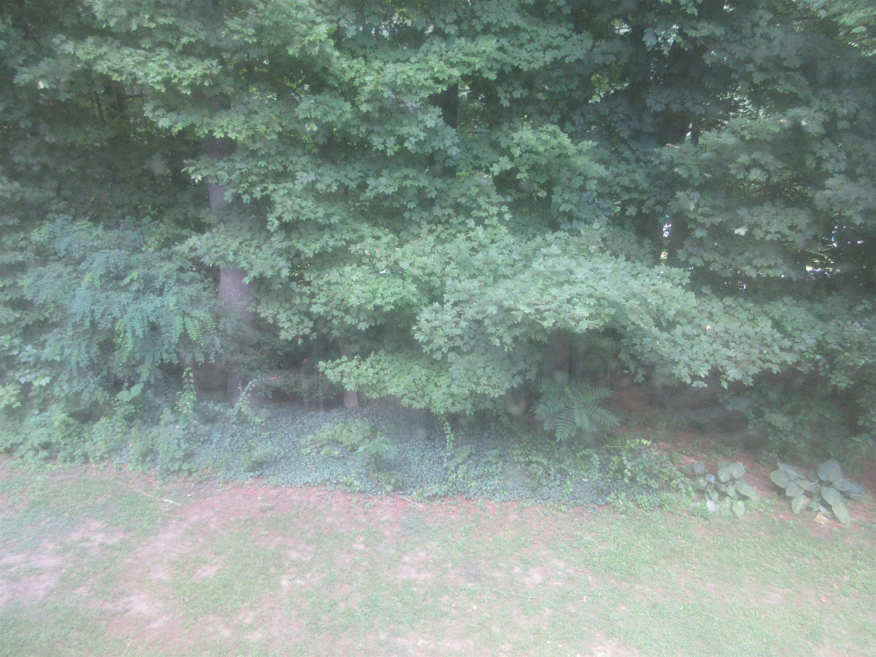 147 Morningside Commons Property Photo 27