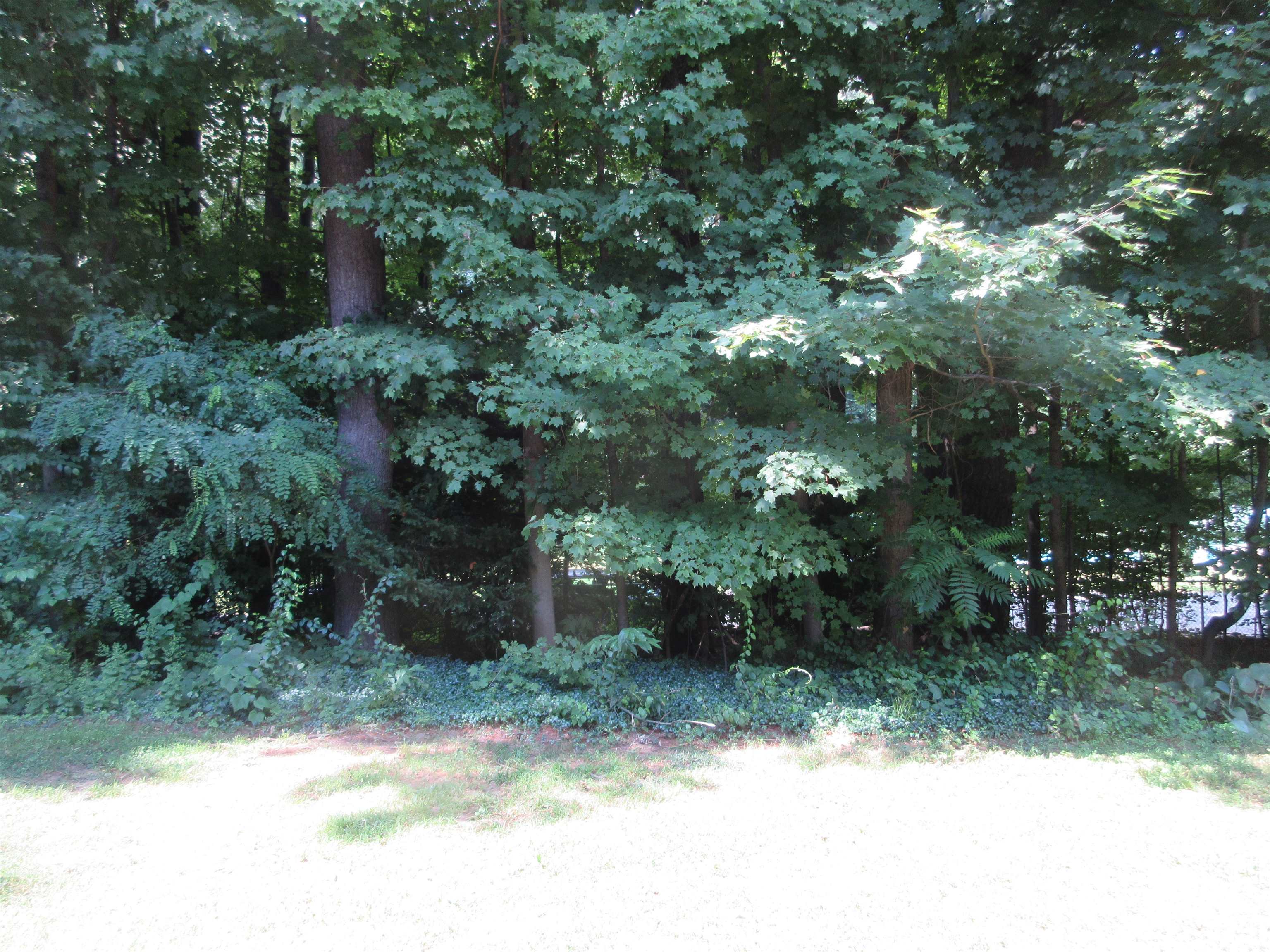 147 Morningside Commons Property Photo 38