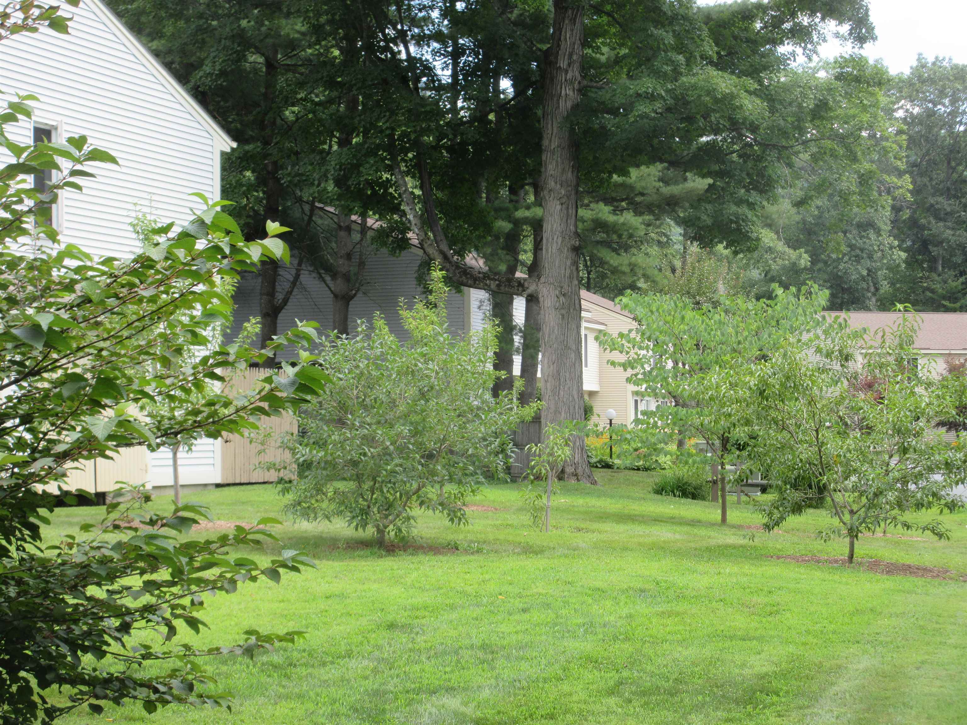 147 Morningside Commons Property Photo 49