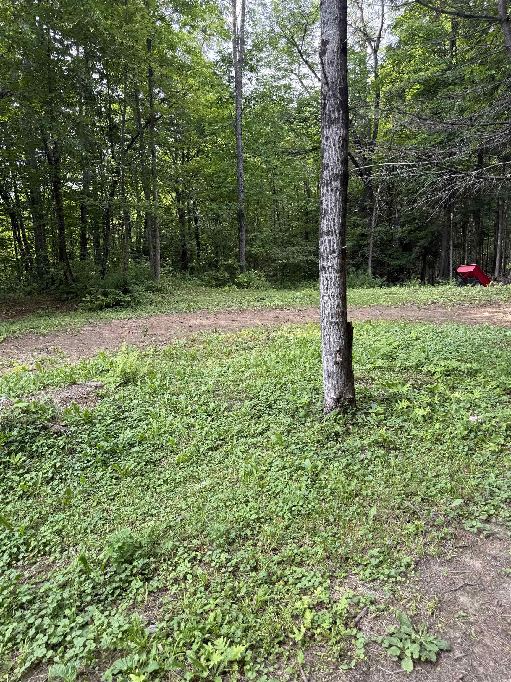 7 Pine Road Property Photo 25