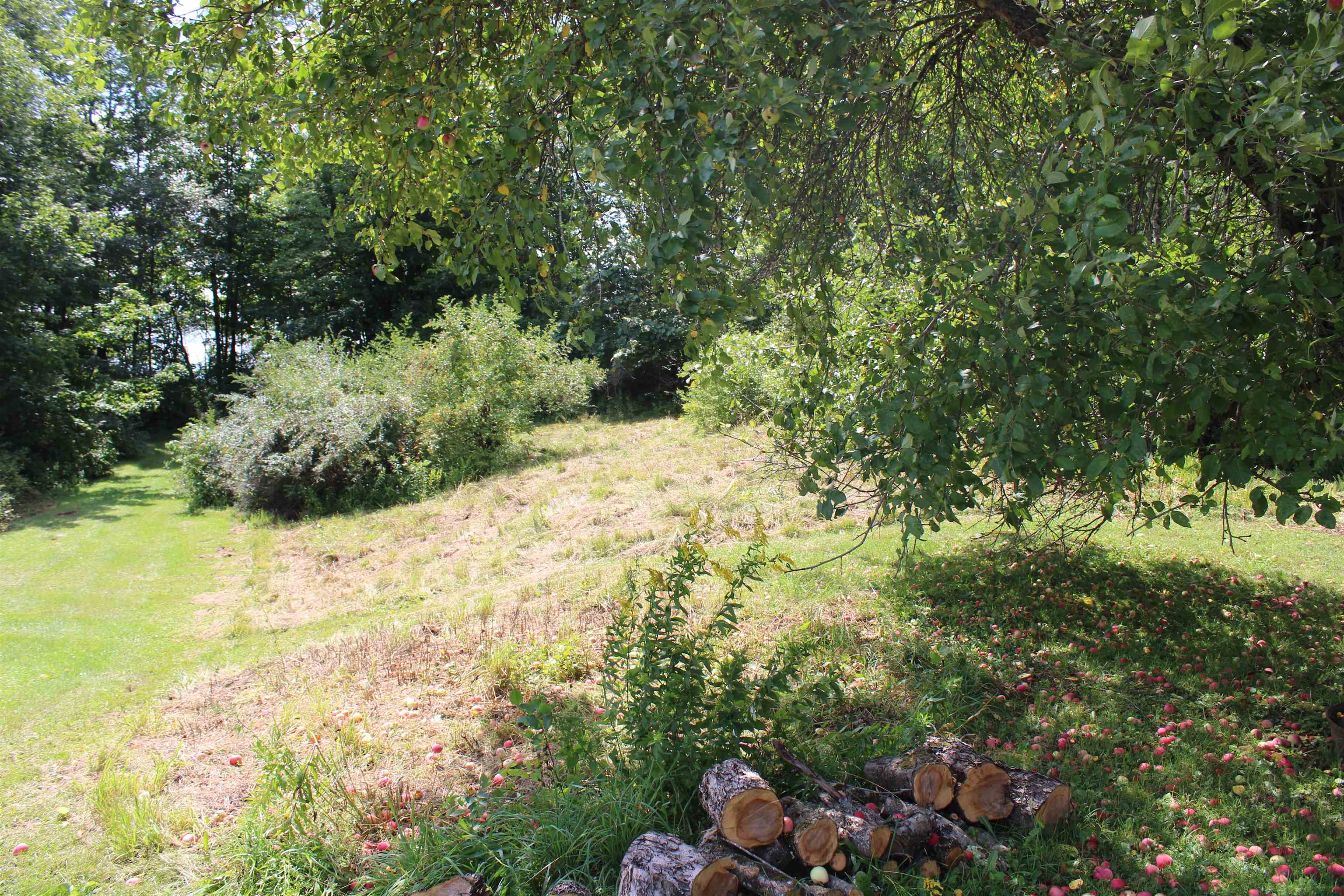 958 Spaulding Road Property Photo 14