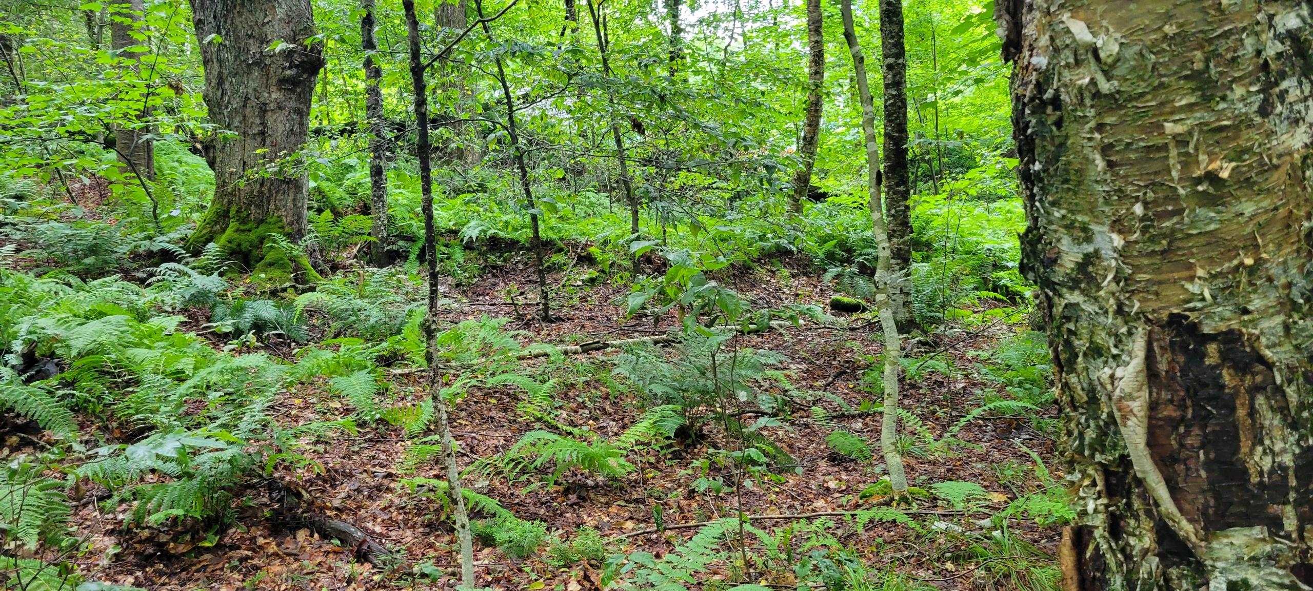 00 Heartwellville View Road Property Photo 9
