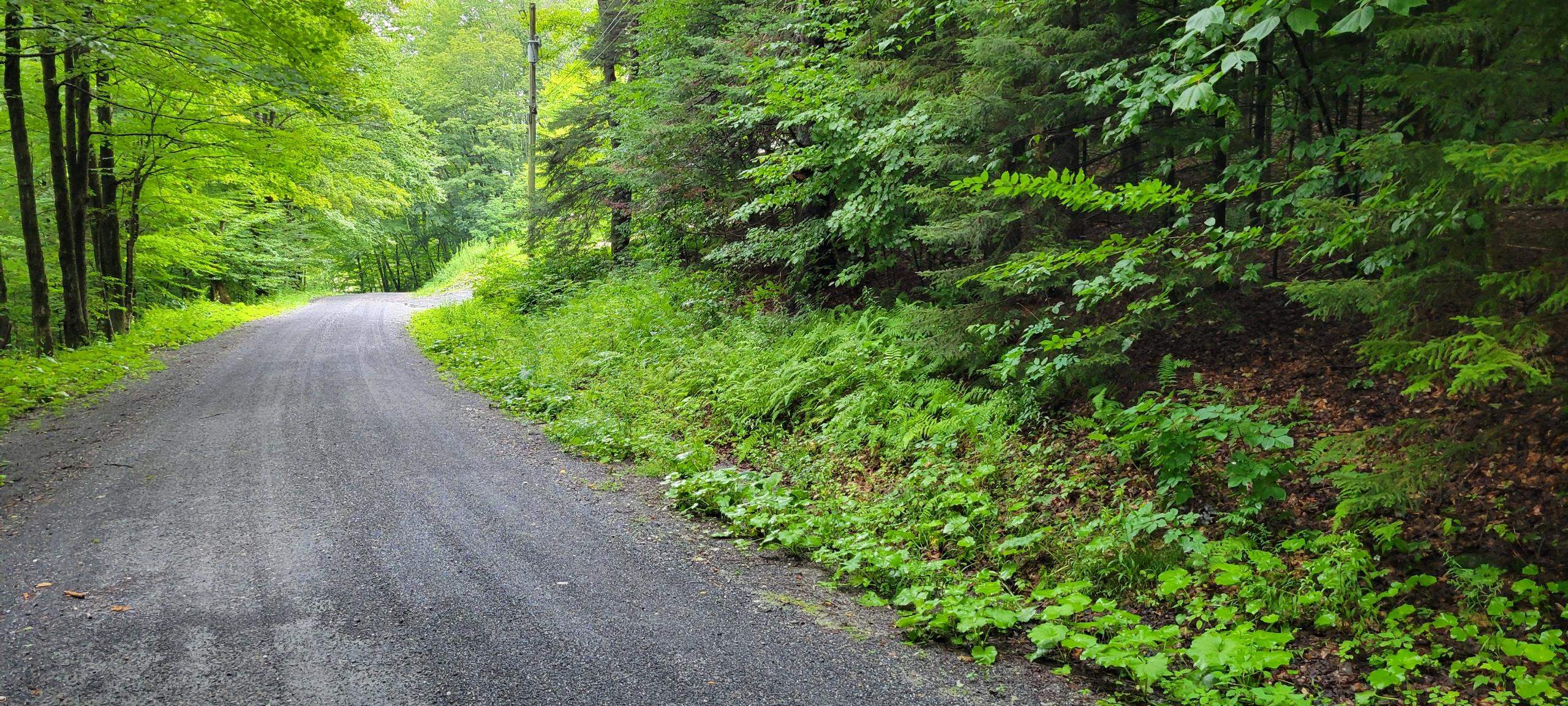 00 Heartwellville View Road Property Photo 10