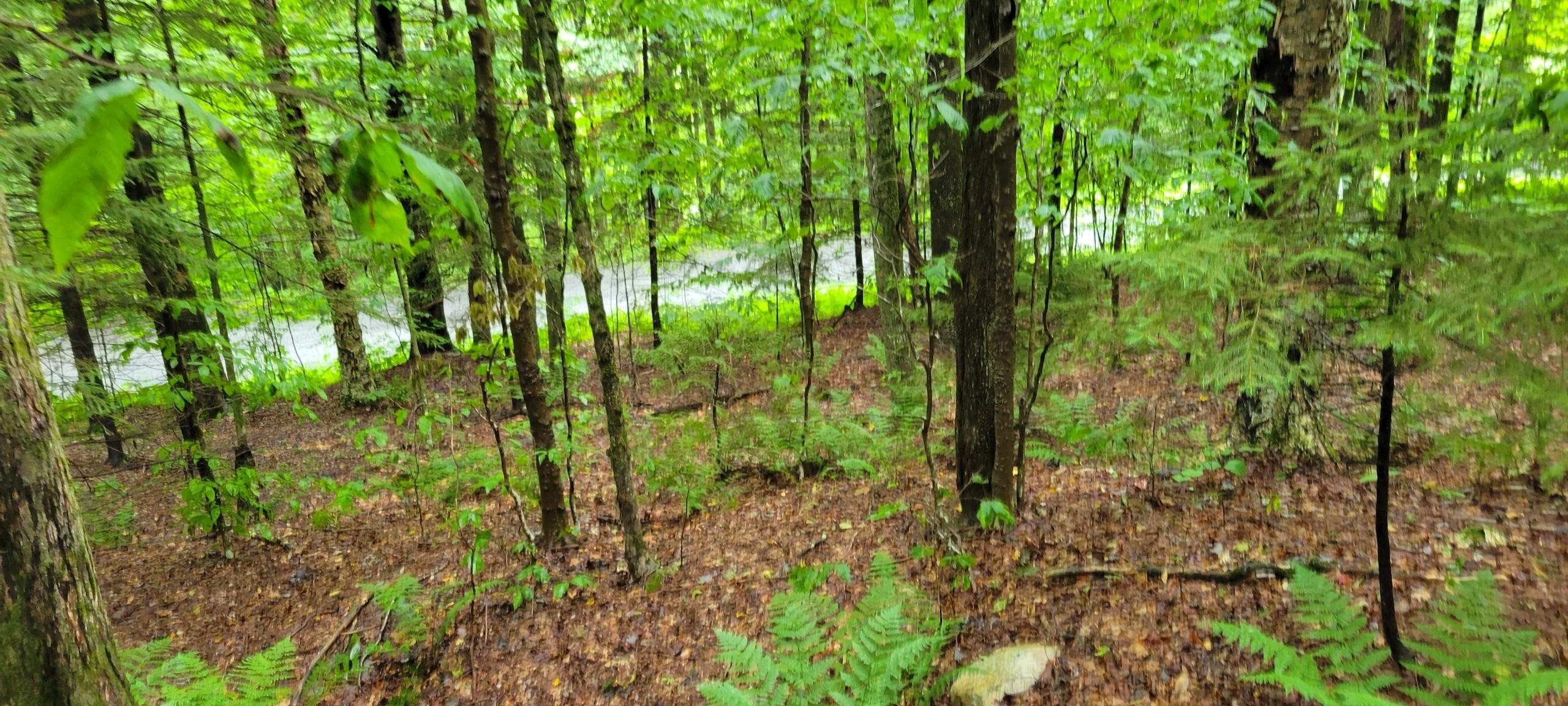 00 Heartwellville View Road Property Photo 11