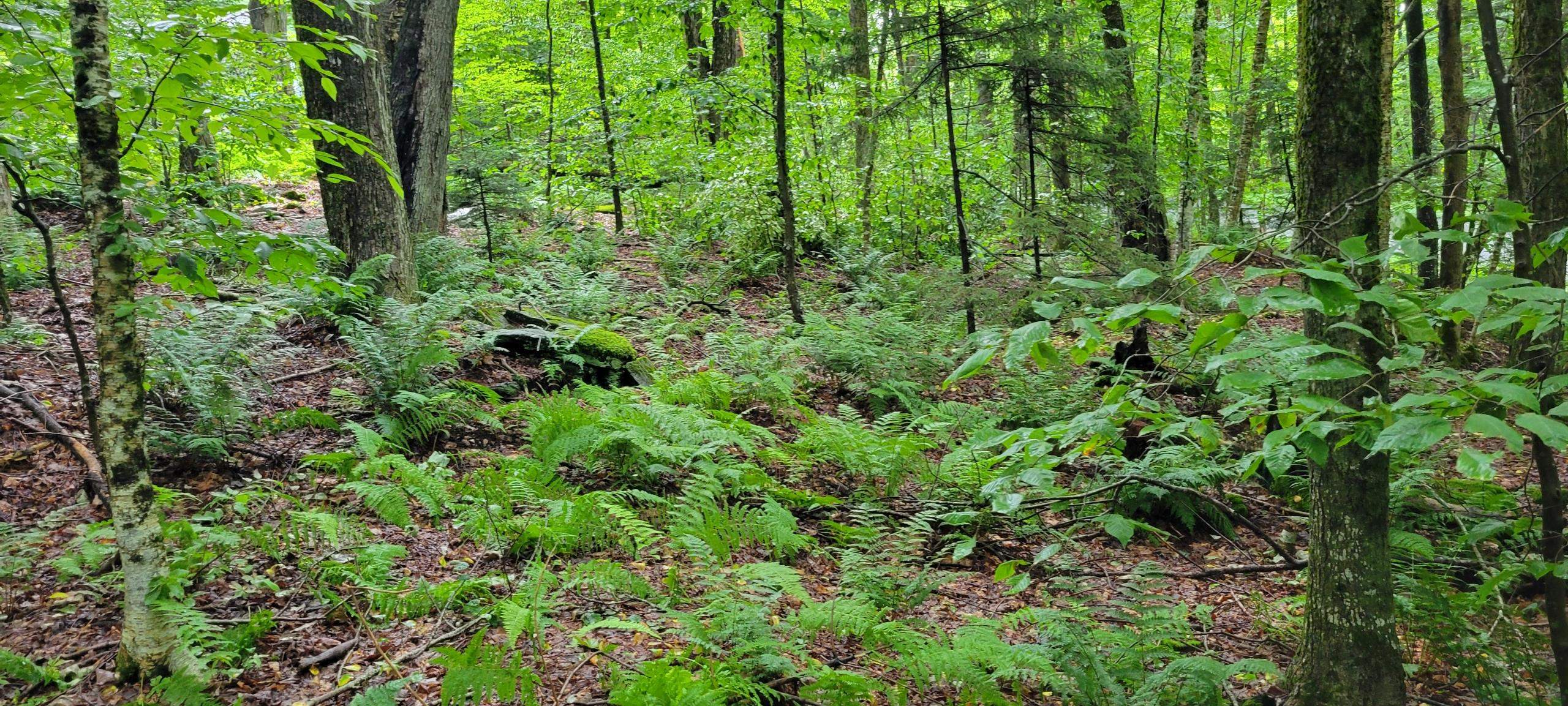 00 Heartwellville View Road Property Photo 12