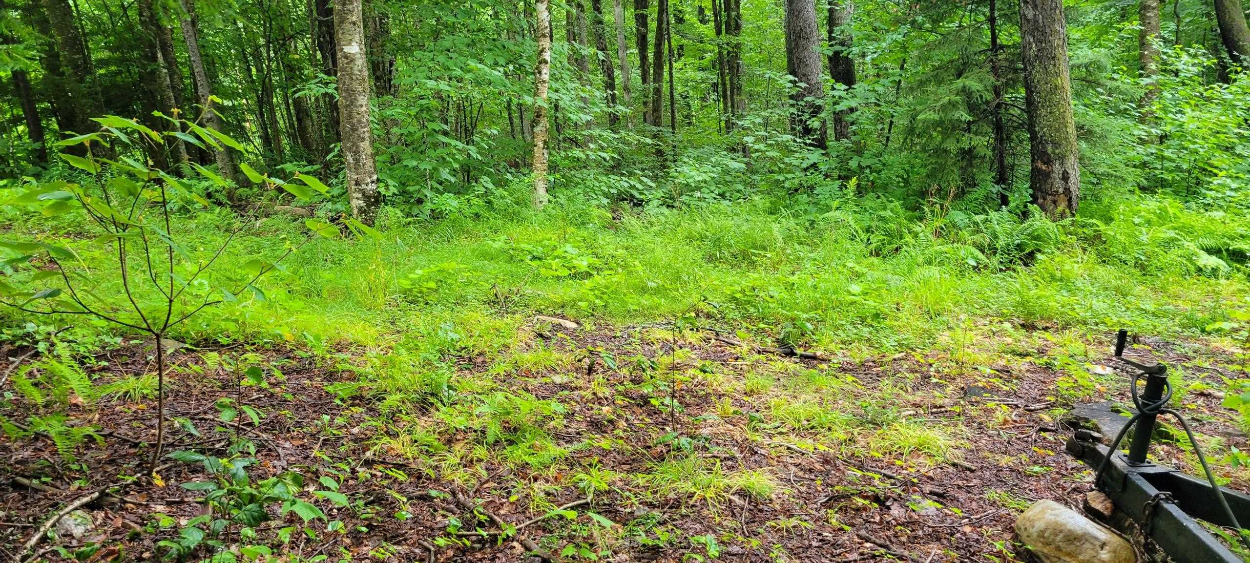 00 Heartwellville View Road Property Photo 9