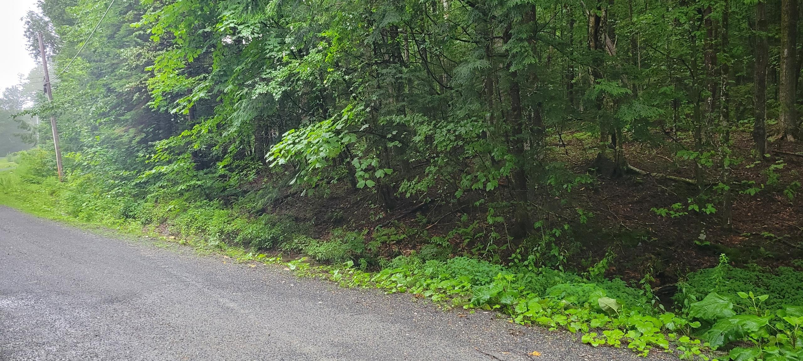 00 Heartwellville View Road Property Photo 6