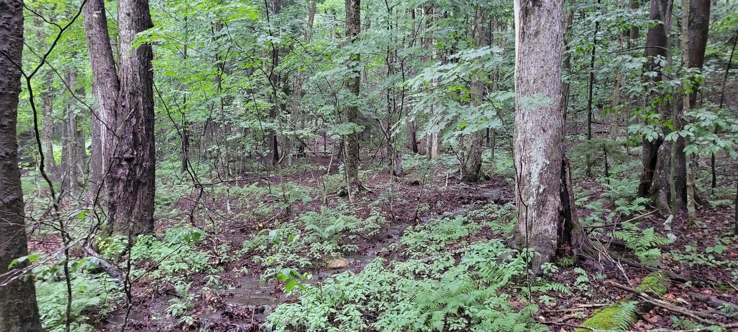 00 Heartwellville View Road Property Photo 9