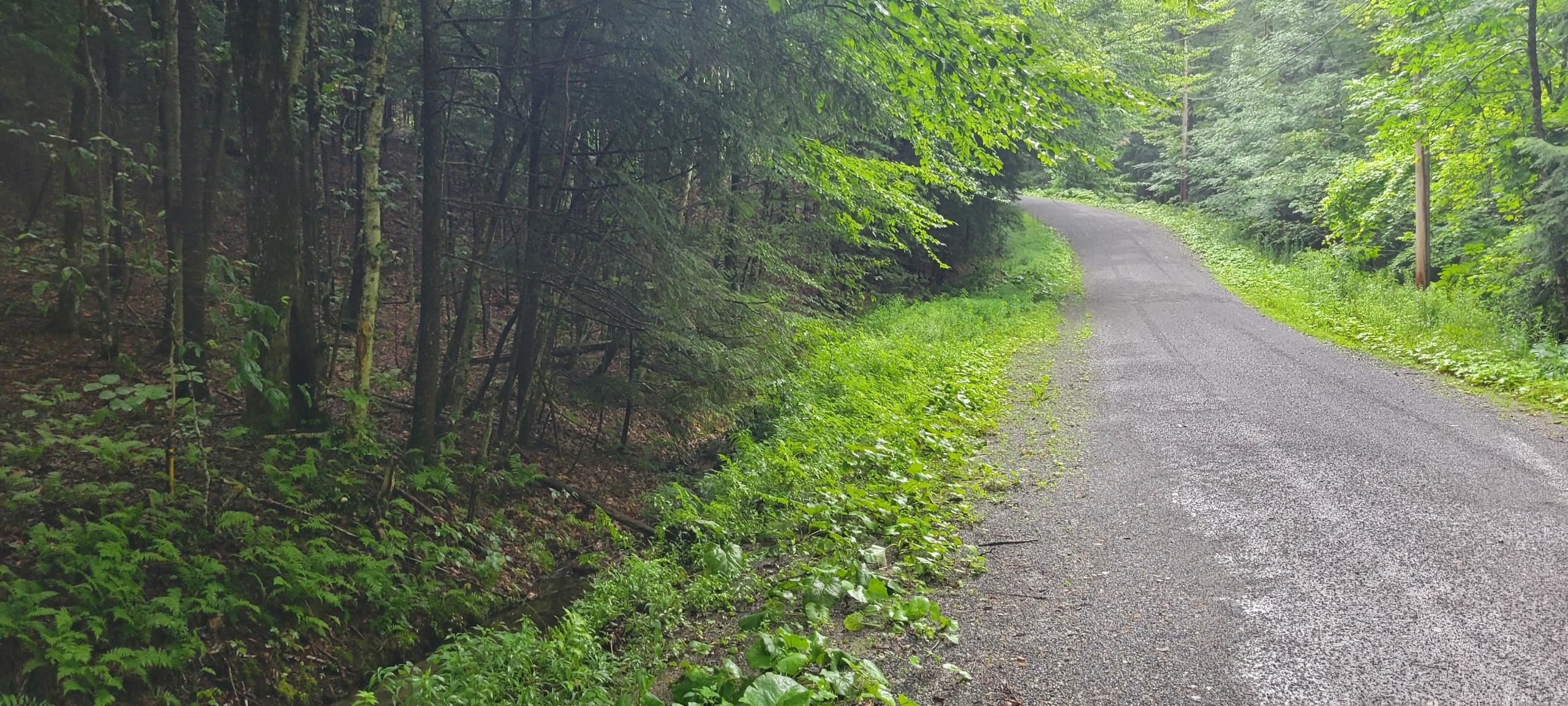 00 Heartwellville View Road Property Photo 3