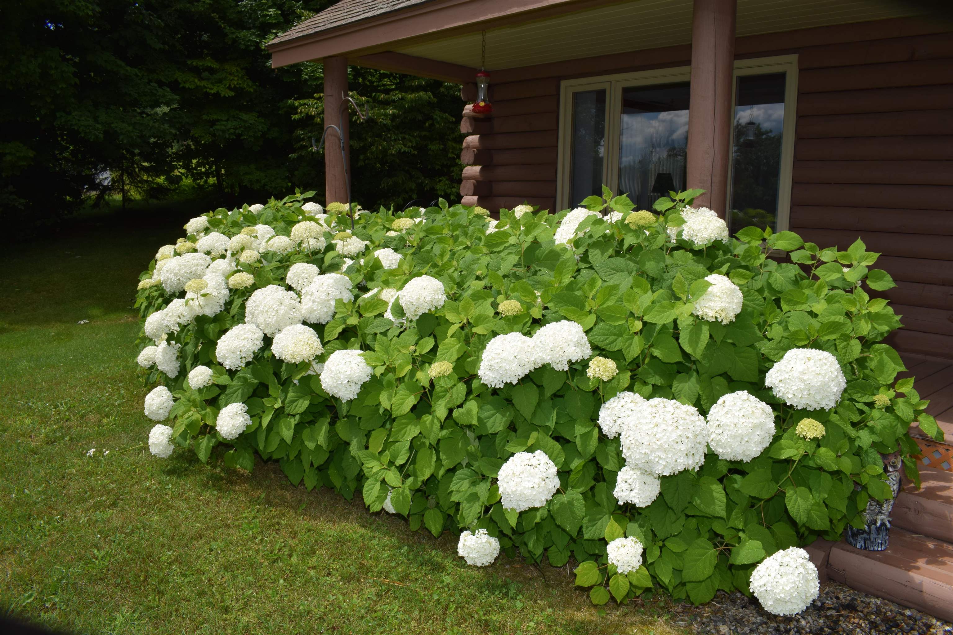 2155 Fellows Road Property Photo 6