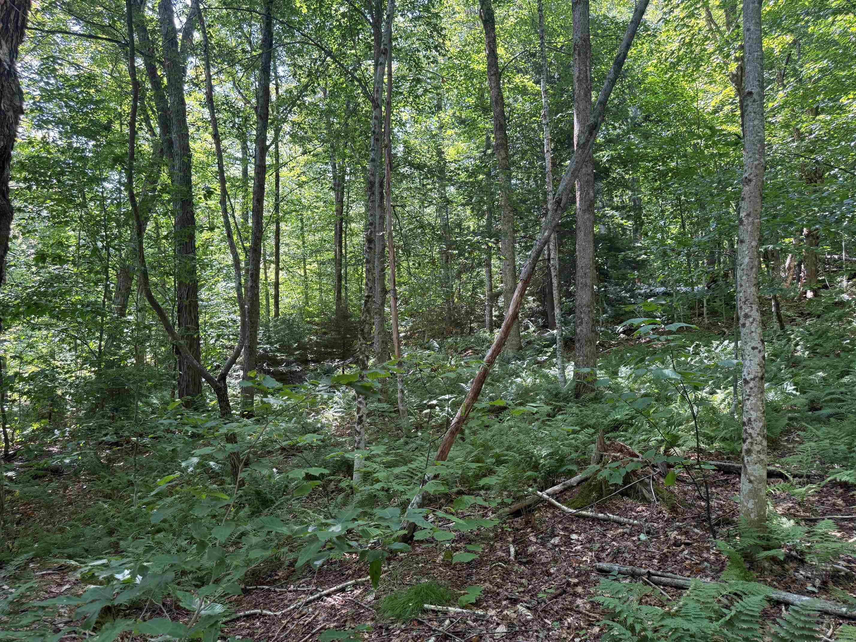 Penny Avenue Property Photo 8