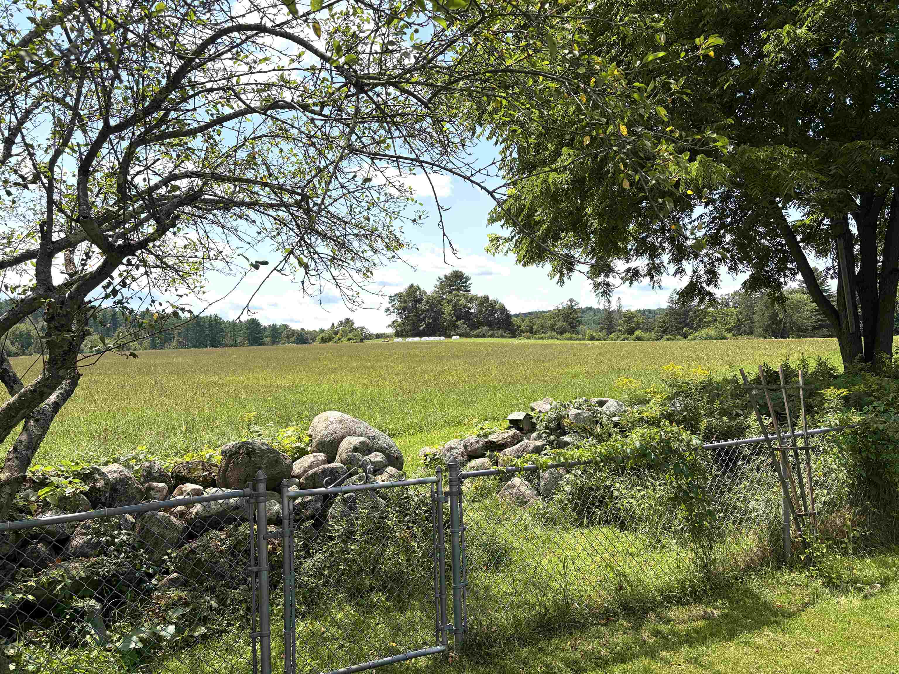 116 Green Meadow Road Property Photo 5