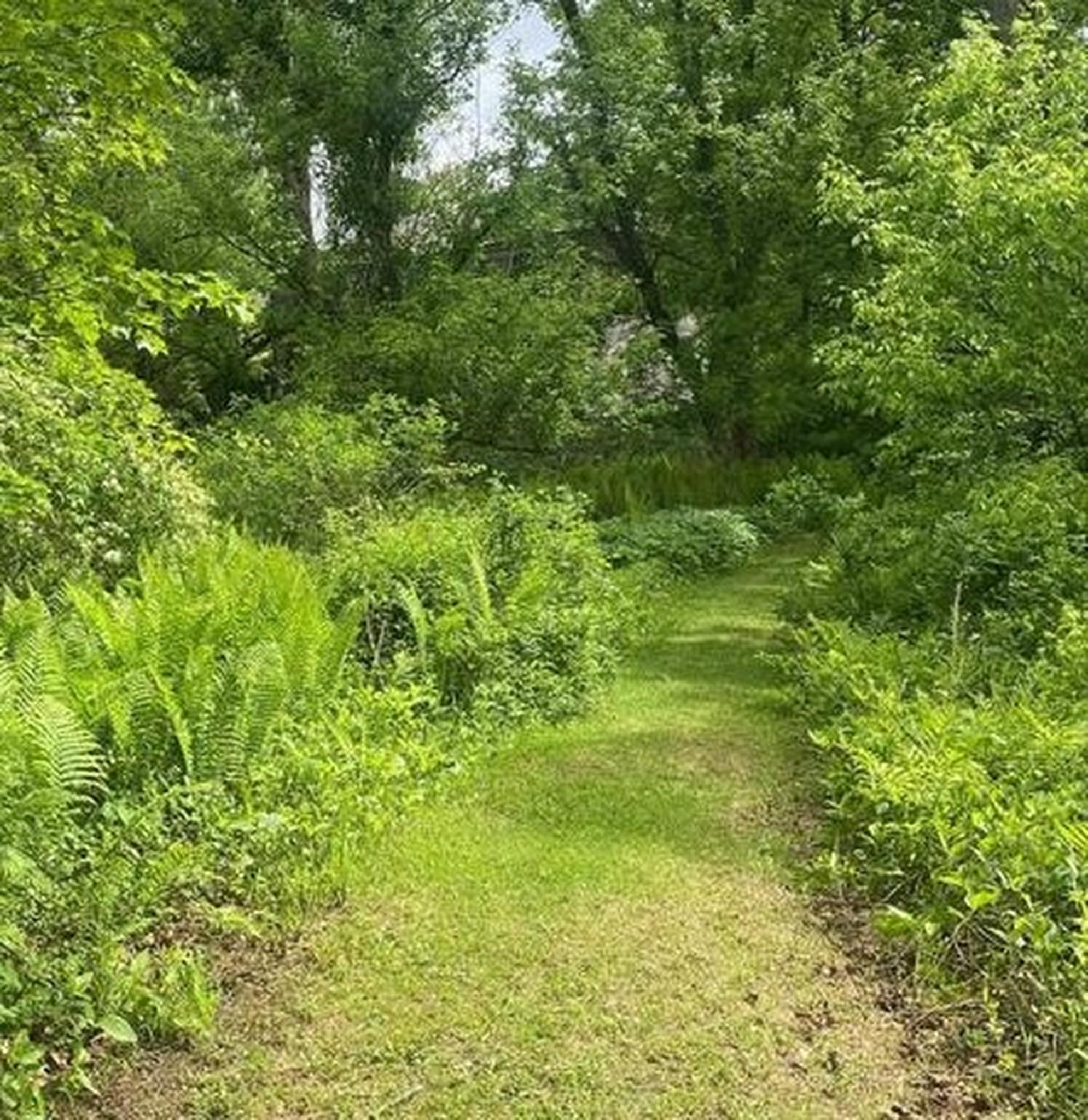 1254 Vt Route 5 Property Photo 11