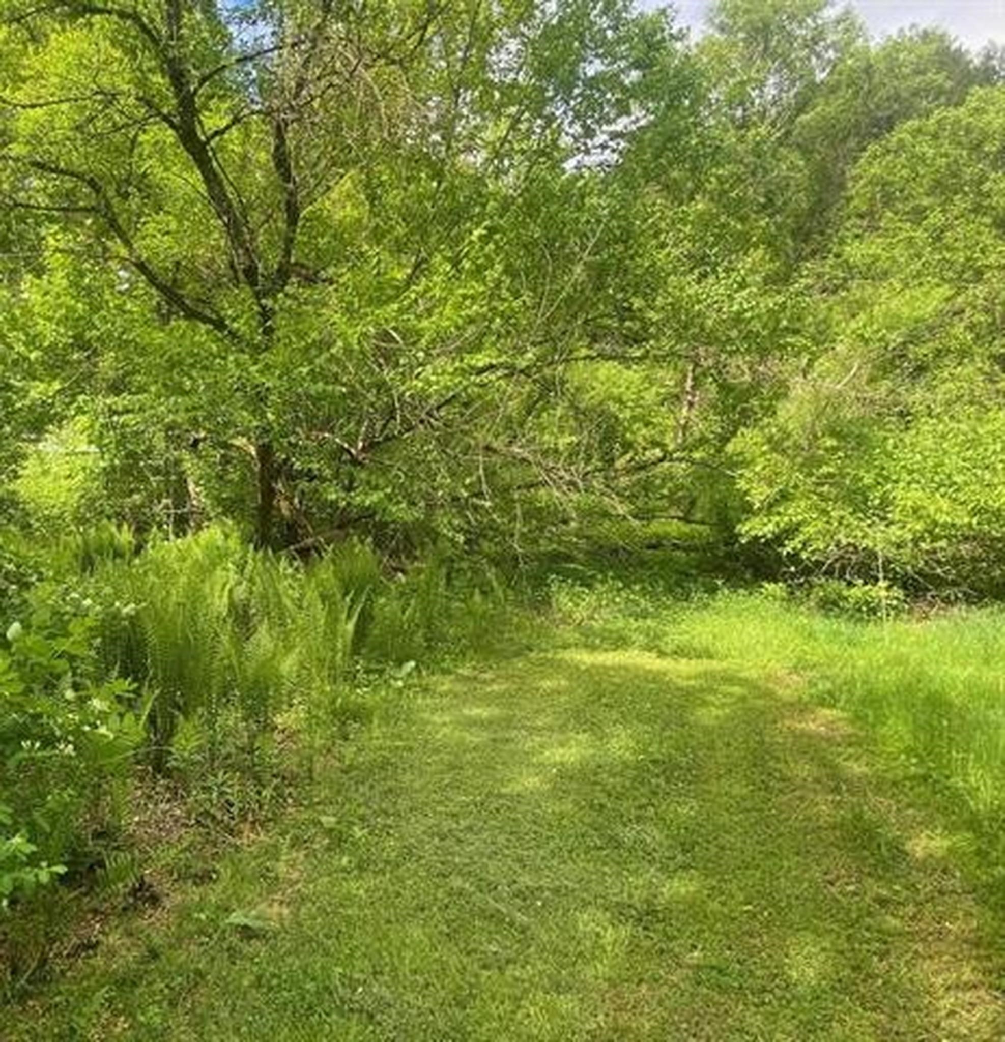 1254 Vt Route 5 Property Photo 12