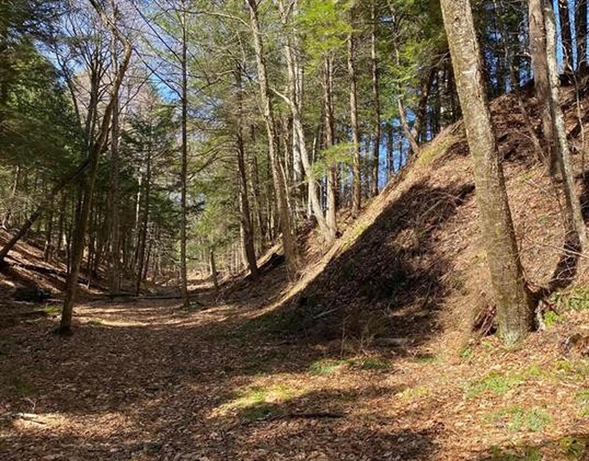 1254 Vt Route 5 Property Photo 27
