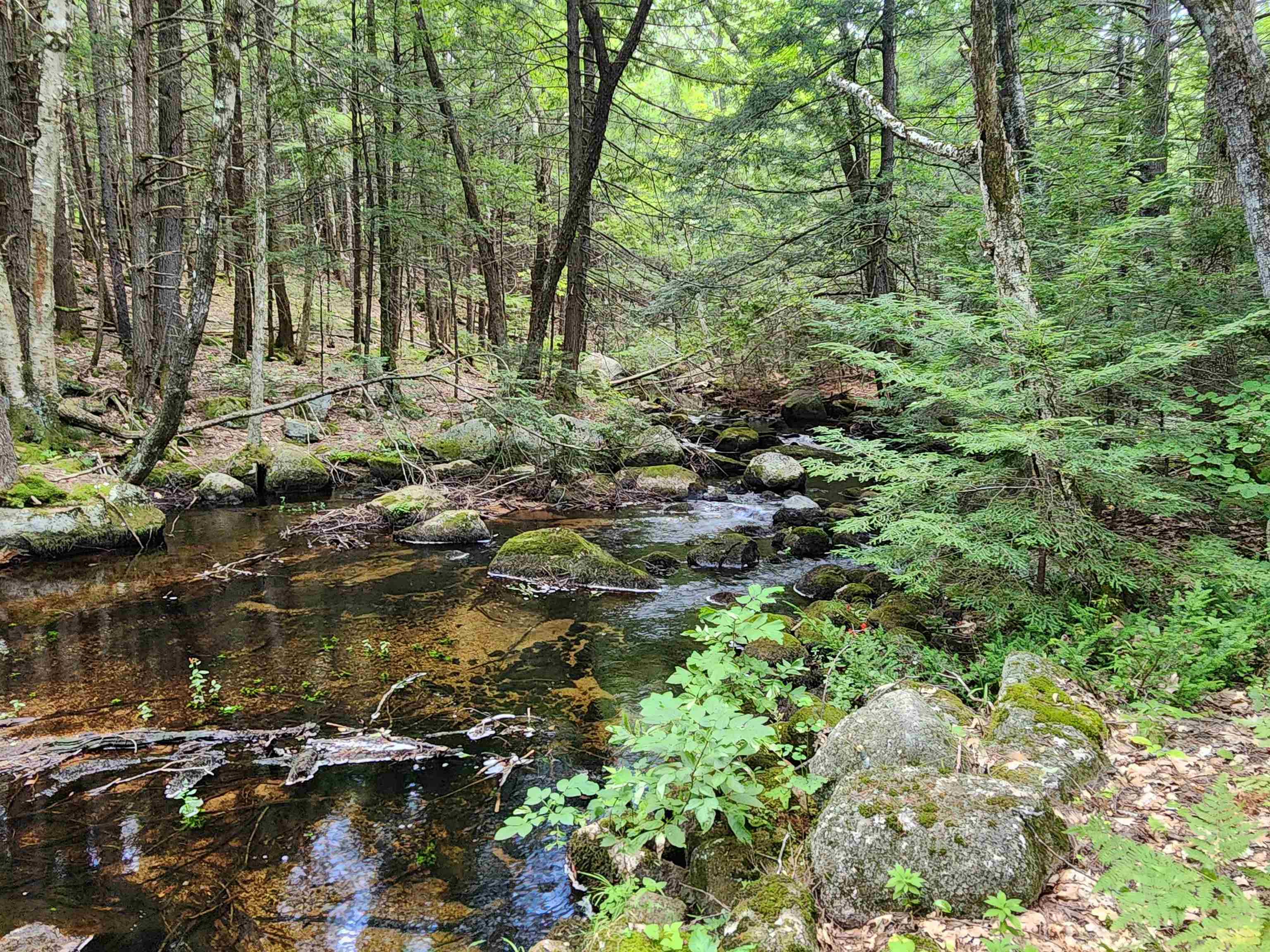 1915 Nh Route 16 Property Photo 3