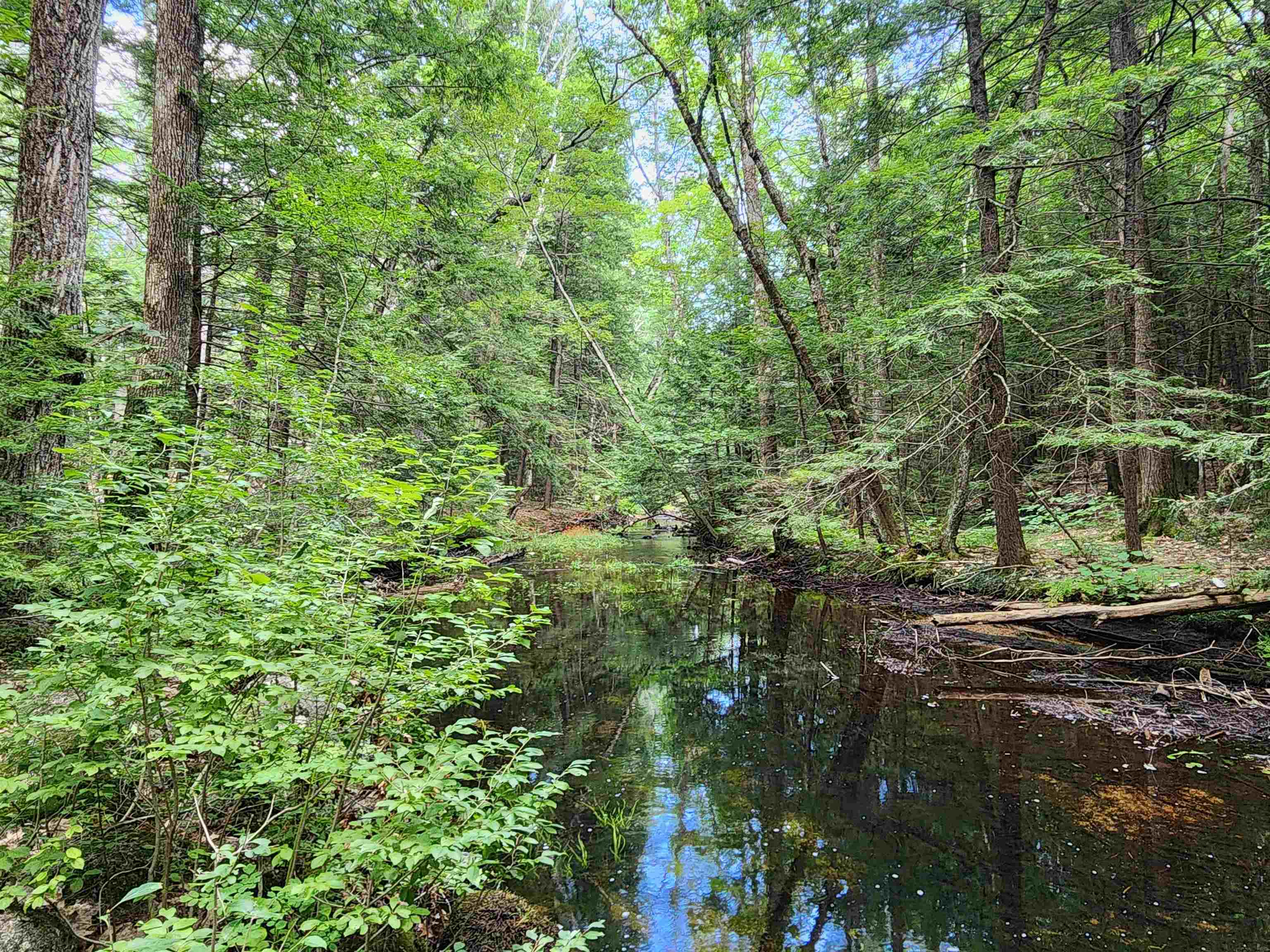 1915 Nh Route 16 Property Photo 27