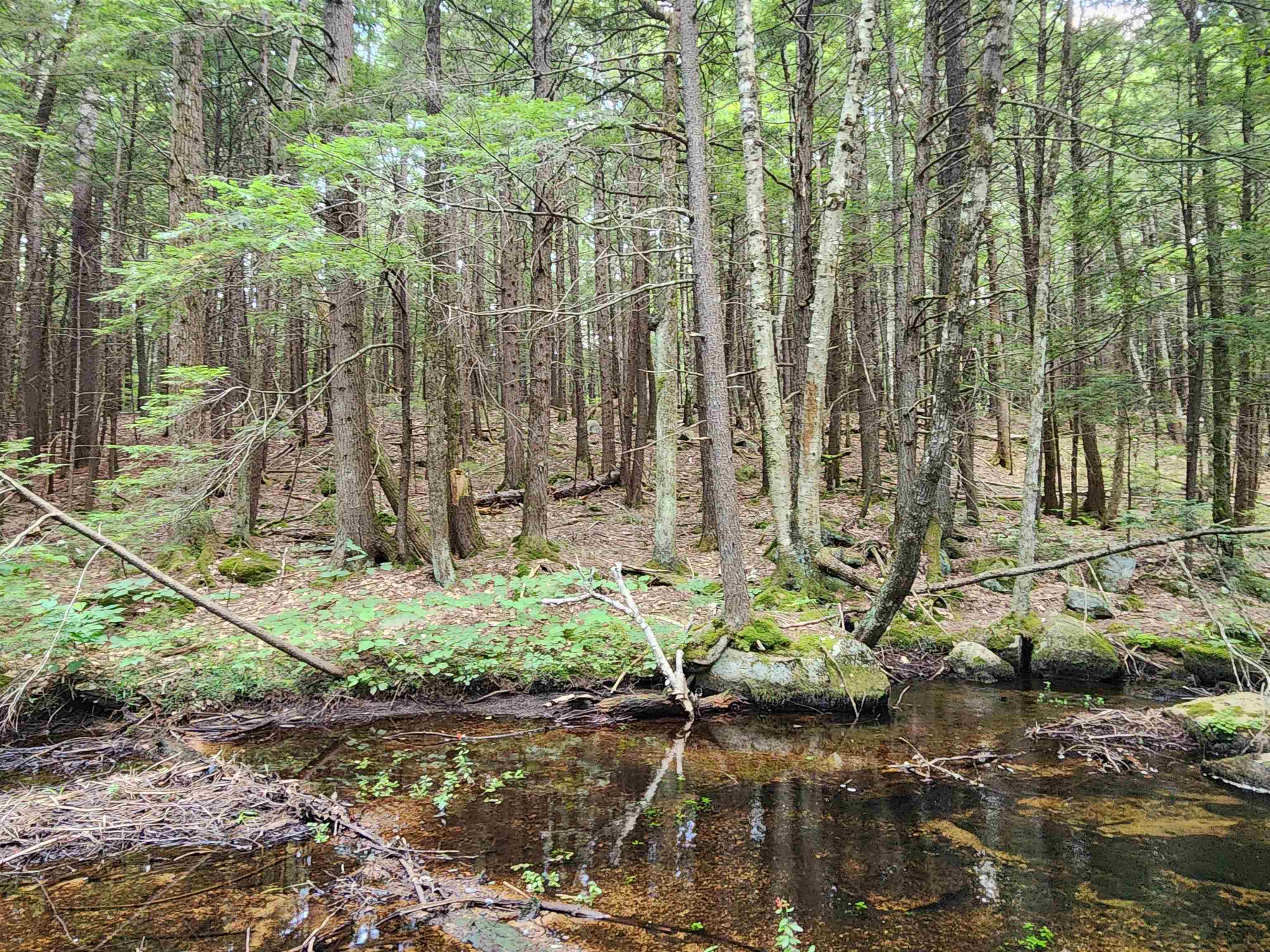 1915 Nh Route 16 Property Photo 28