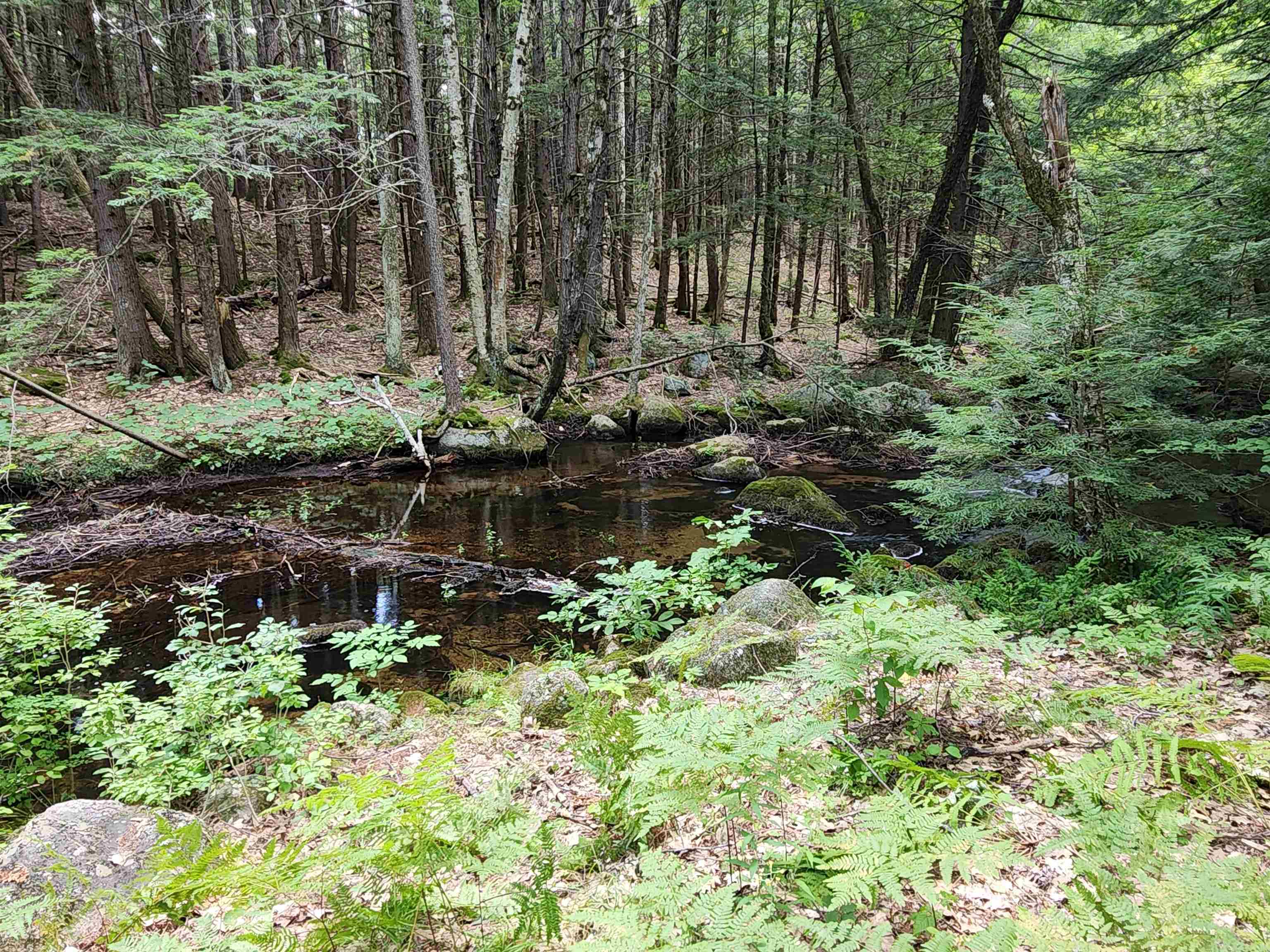 1915 Nh Route 16 Property Photo 29
