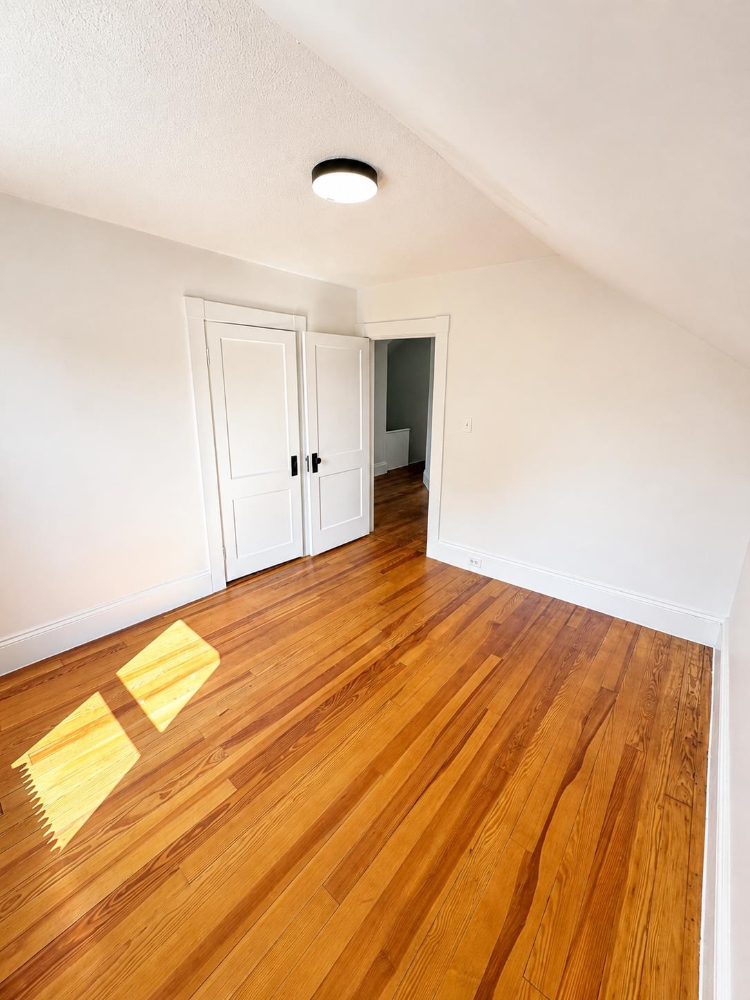 43 Hosley Street Property Photo 11