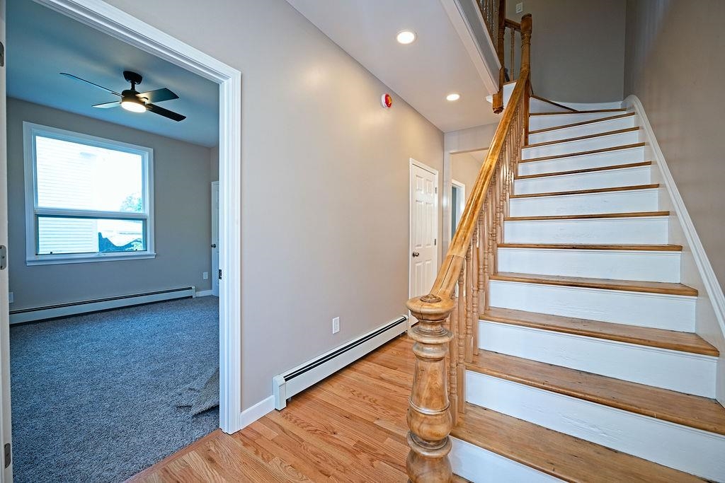 8 Courtland Street Property Photo 13