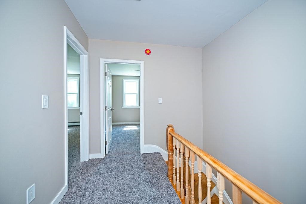 8 Courtland Street Property Photo 38