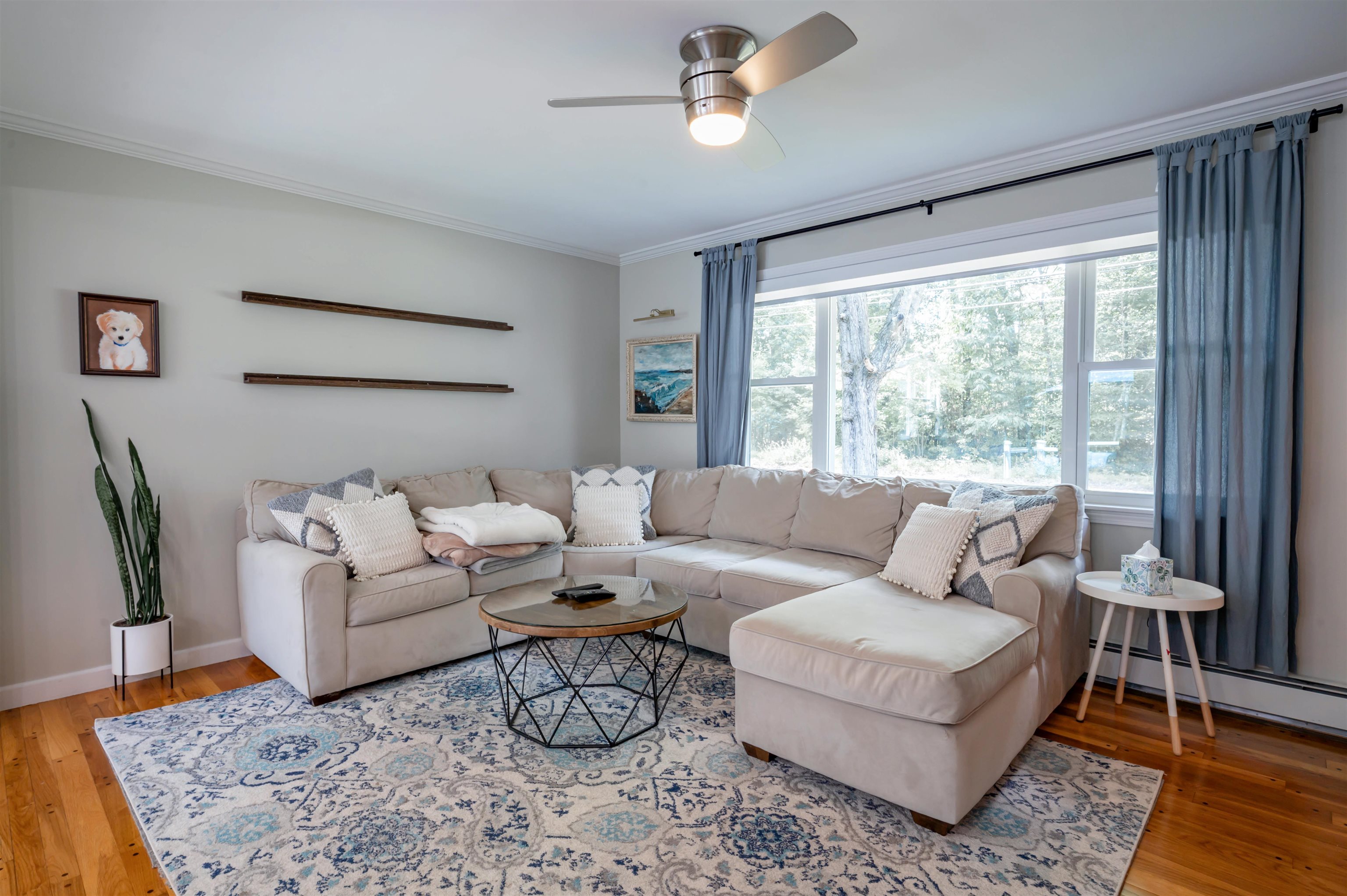 52 Albin Road Property Photo 9