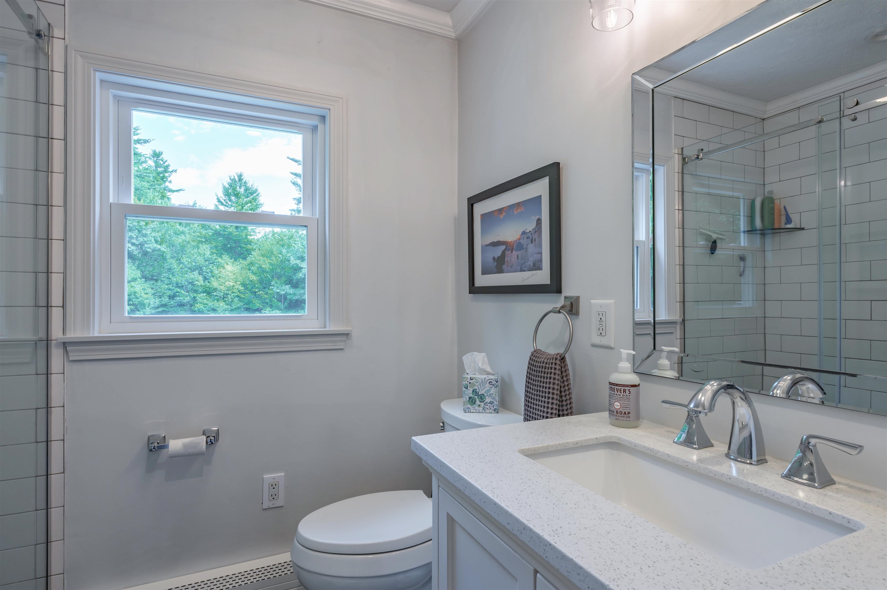 52 Albin Road Property Photo 17