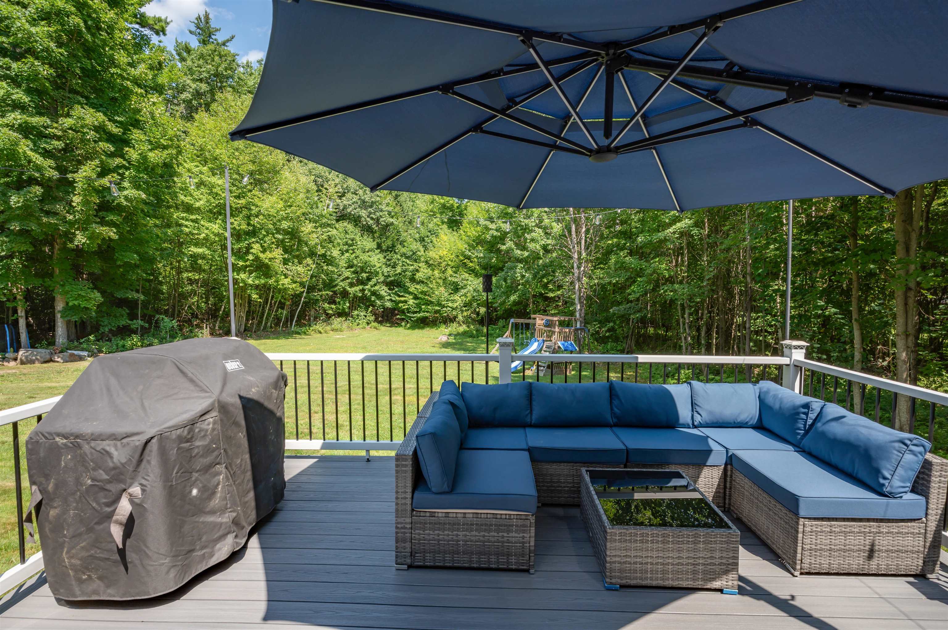 52 Albin Road Property Photo 26