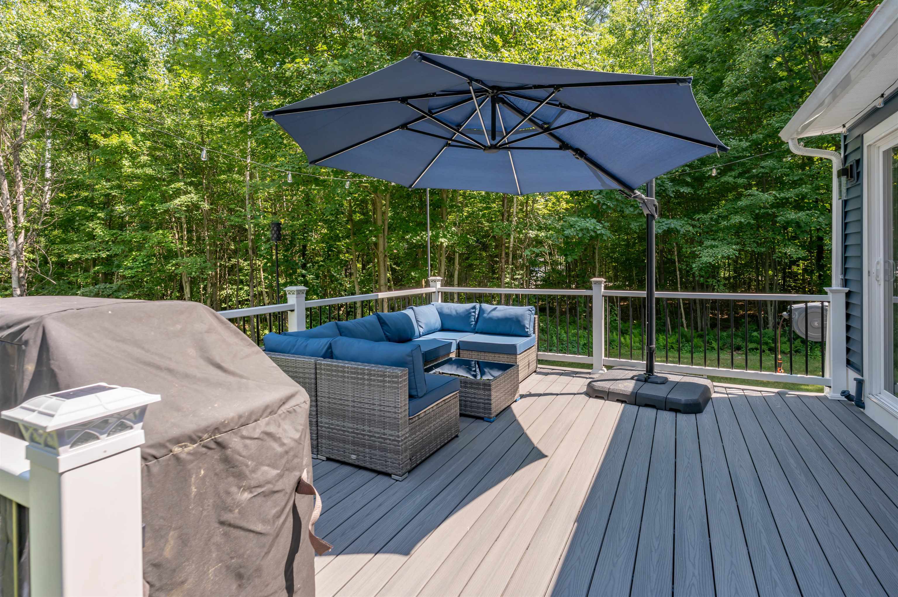 52 Albin Road Property Photo 28