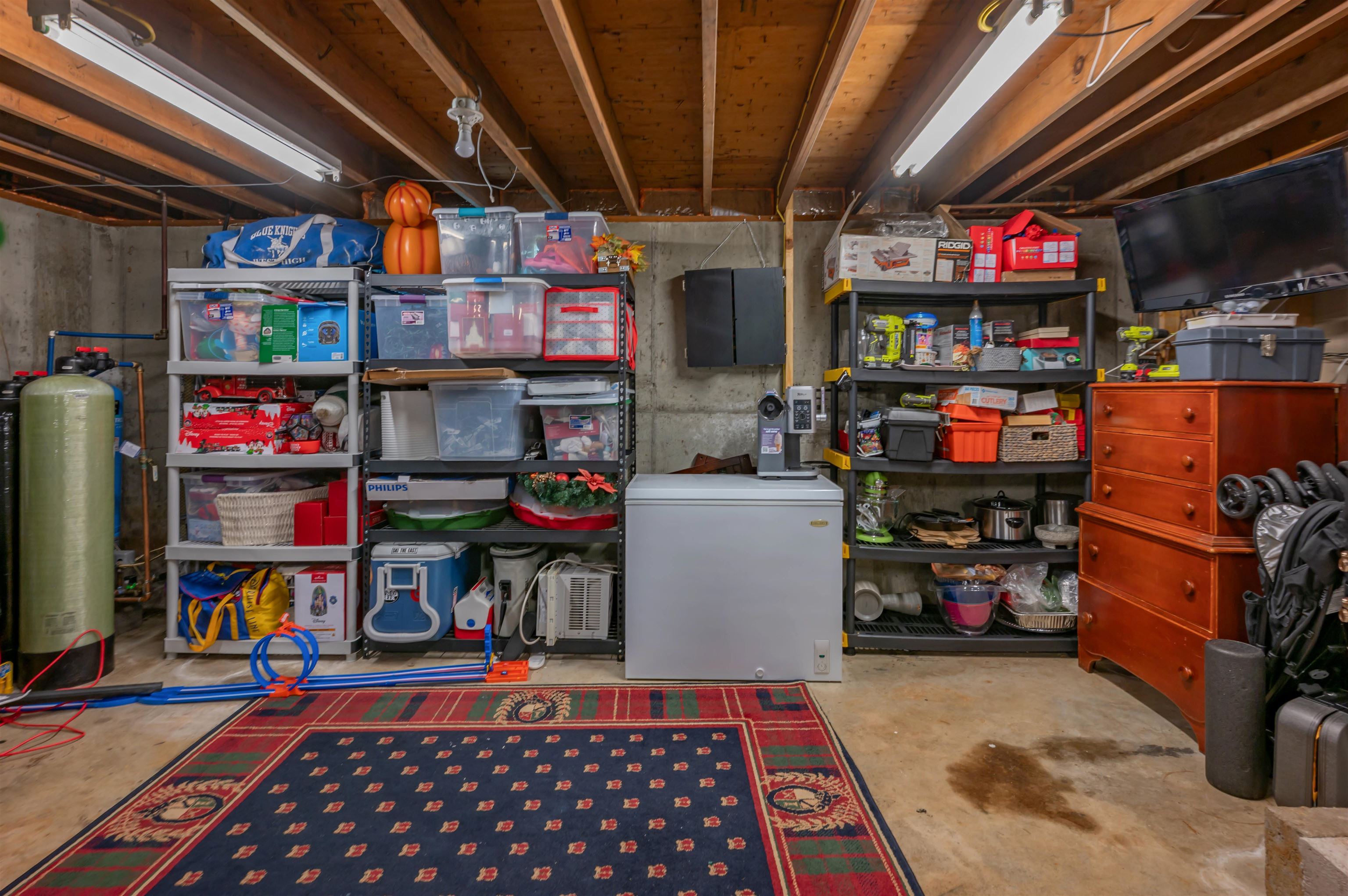 52 Albin Road Property Photo 34