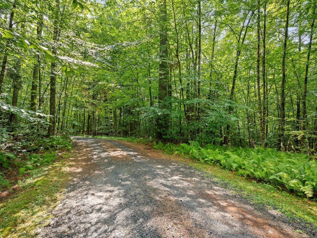646 Village Woods Road Property Photo 60